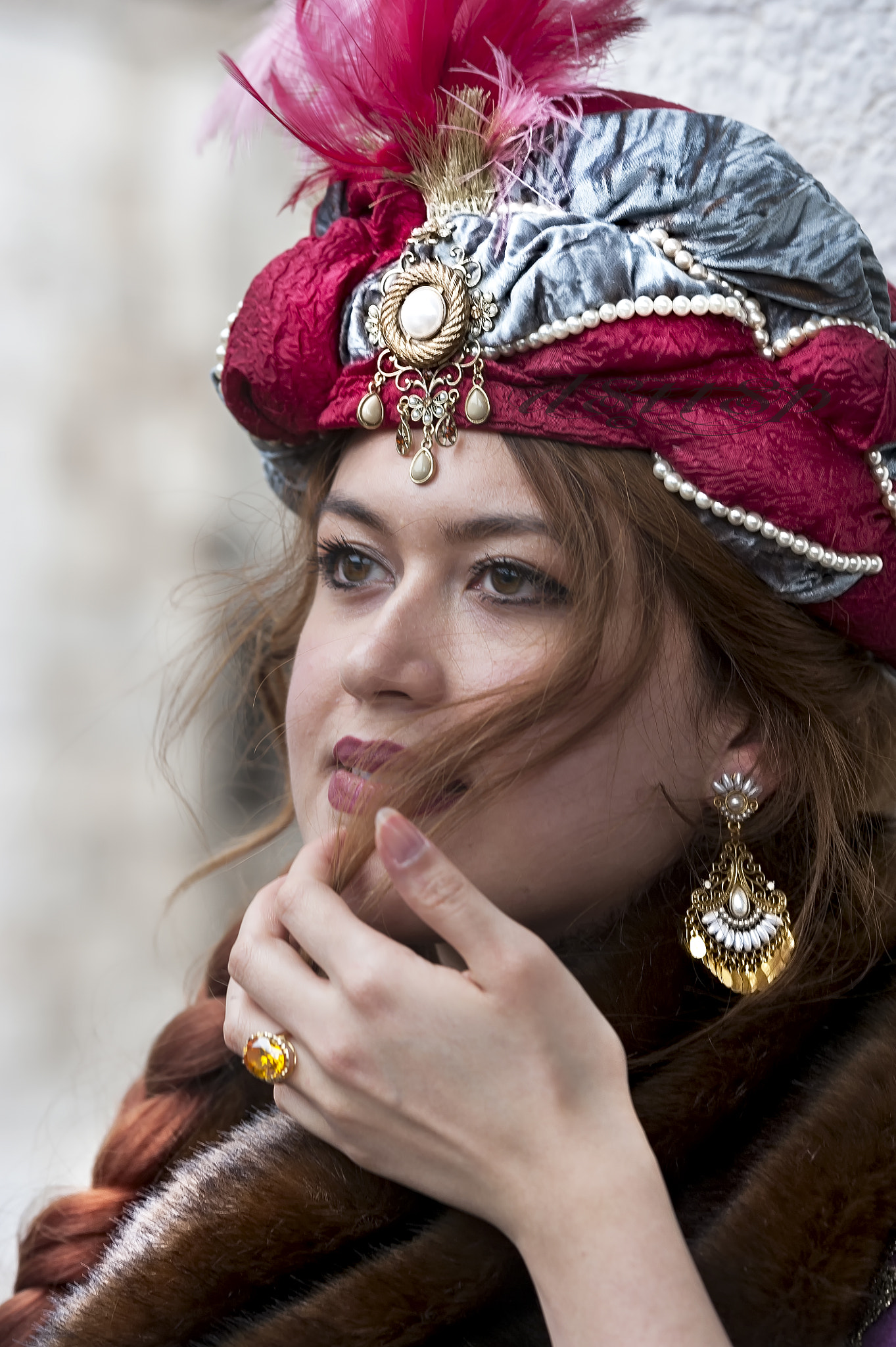 Sigma 70-200mm F2.8 EX DG OS HSM sample photo. " carnaval  a  venise " photography