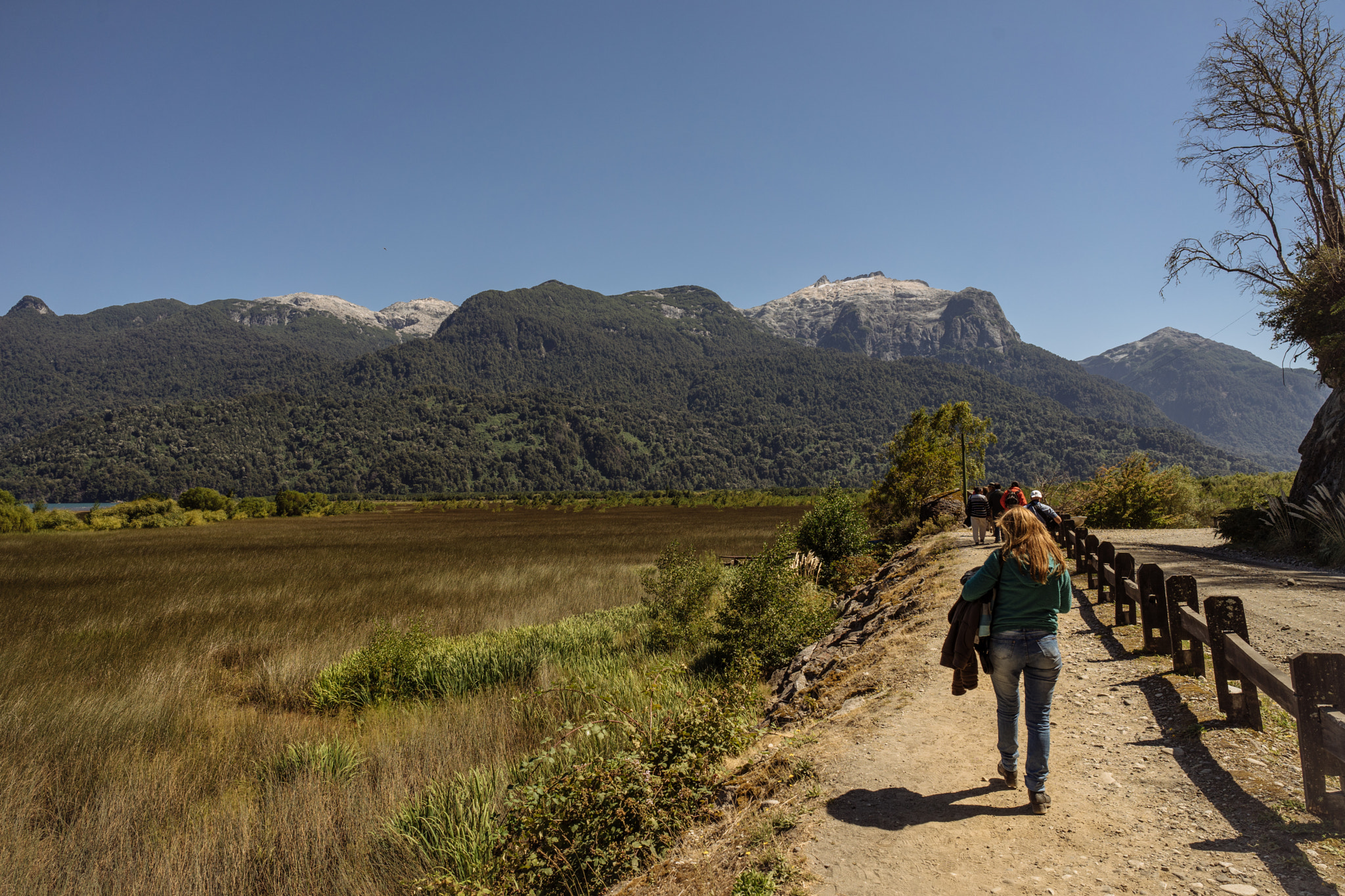 E 21mm F2.8 sample photo. Take a walk on the wild side photography