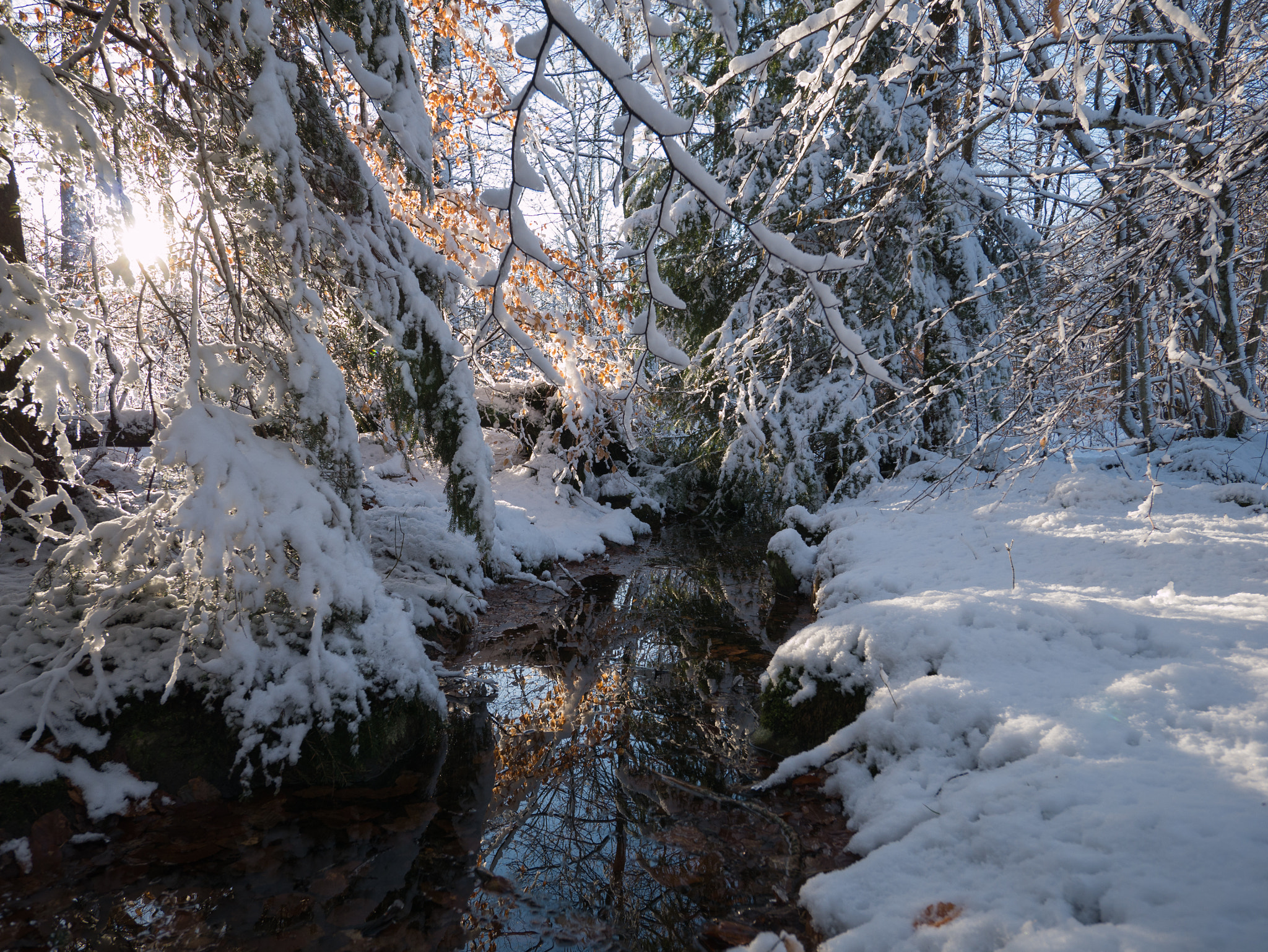 Panasonic Lumix DMC-GX7 + Panasonic Lumix G Vario 7-14mm F4 ASPH sample photo. Fulltofta winter landscape photography