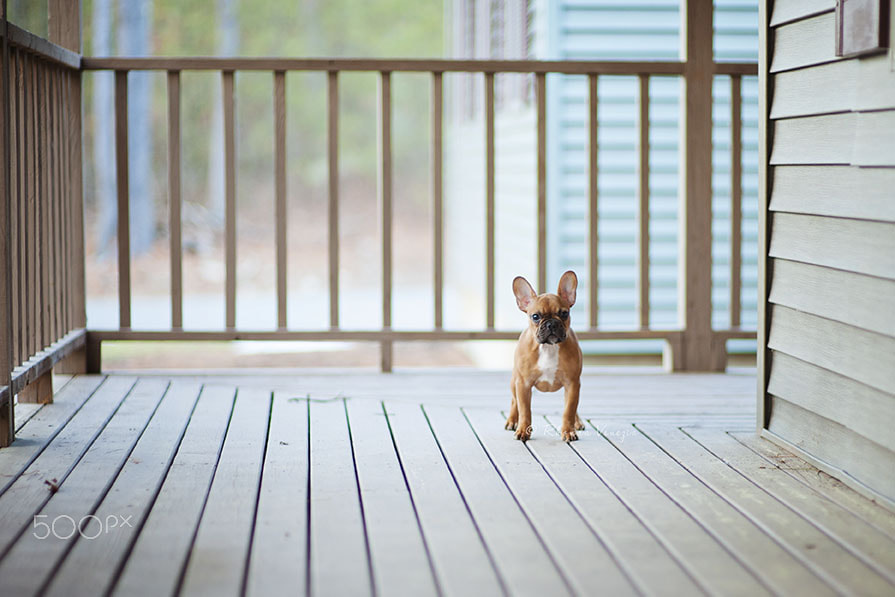 Nikon D3 + Sigma 85mm F1.4 EX DG HSM sample photo. Front porch photography