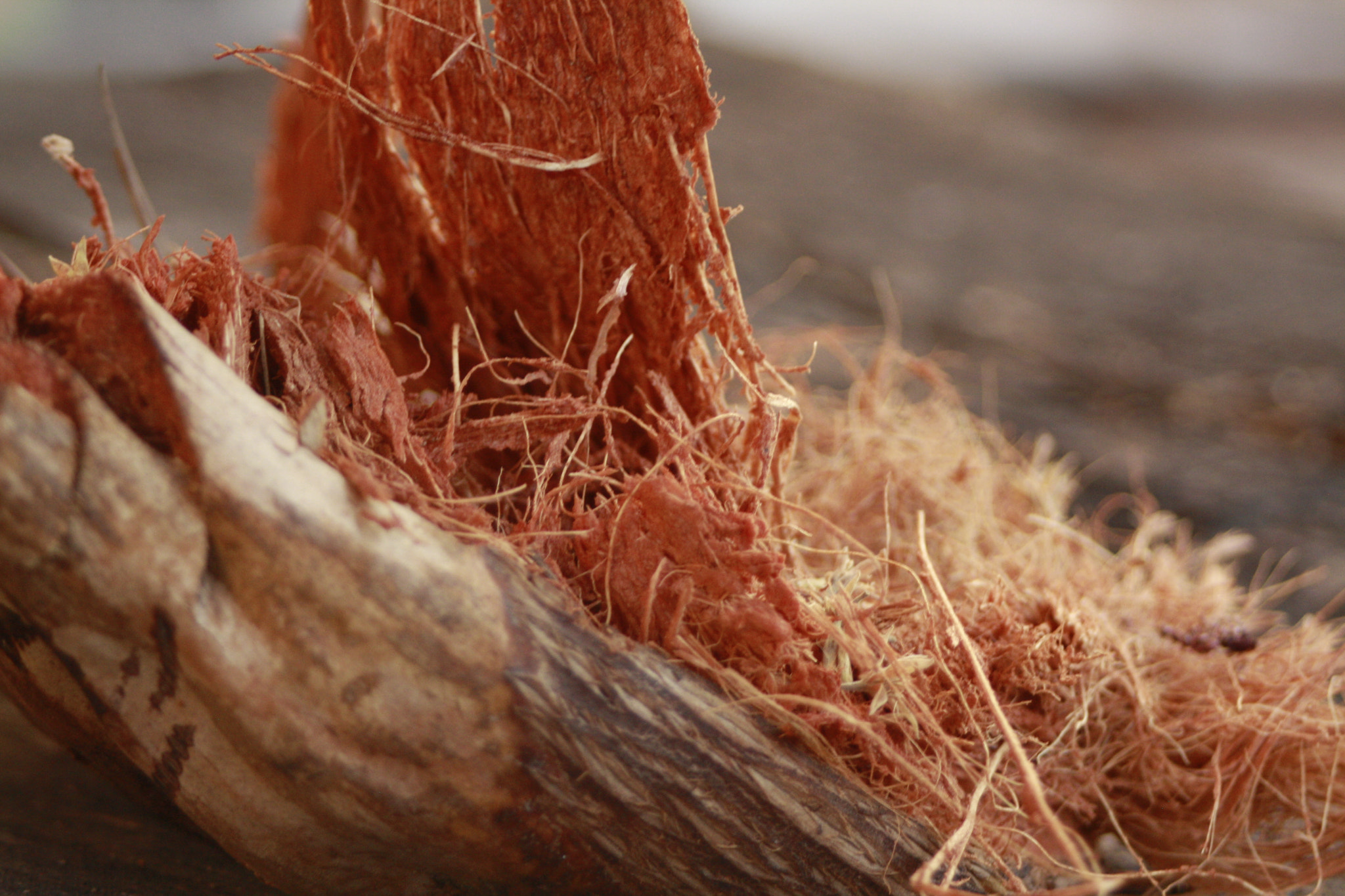 Canon EF 28-80mm f/3.5-5.6 sample photo. Sans titre photography