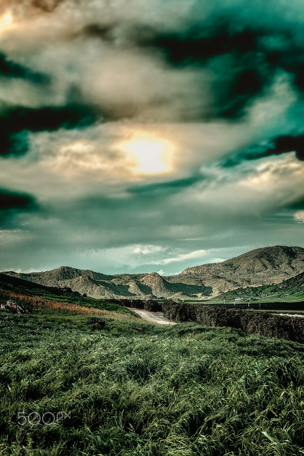 Sigma 30mm F1.4 EX DC HSM sample photo. Rolling green farms under dramatic sky photography