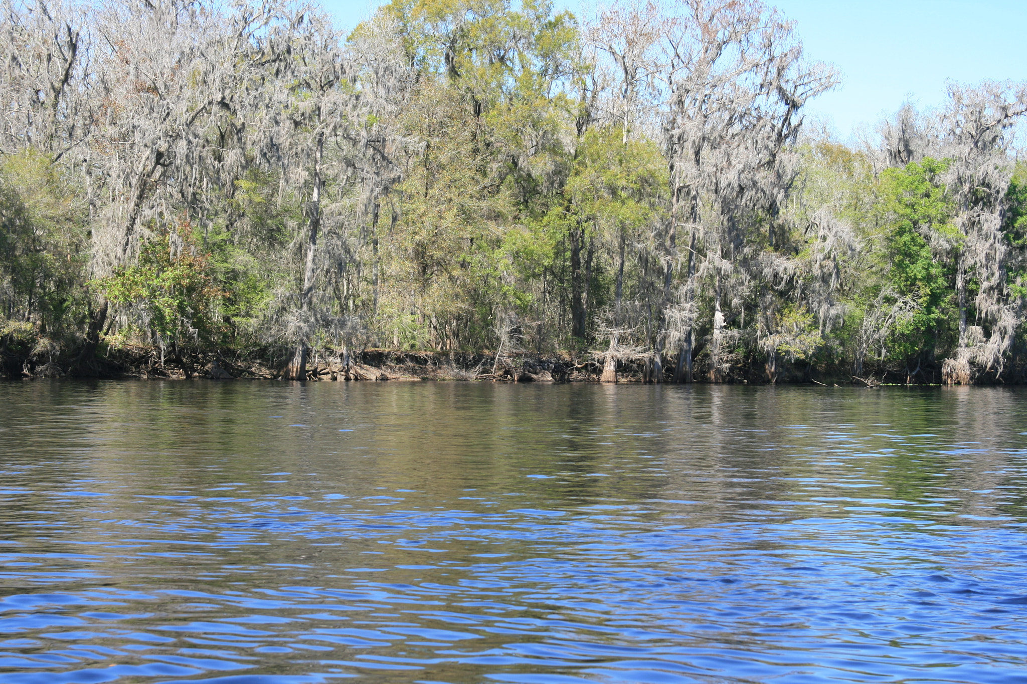Canon EF 24-85mm F3.5-4.5 USM sample photo. Across the river bend photography