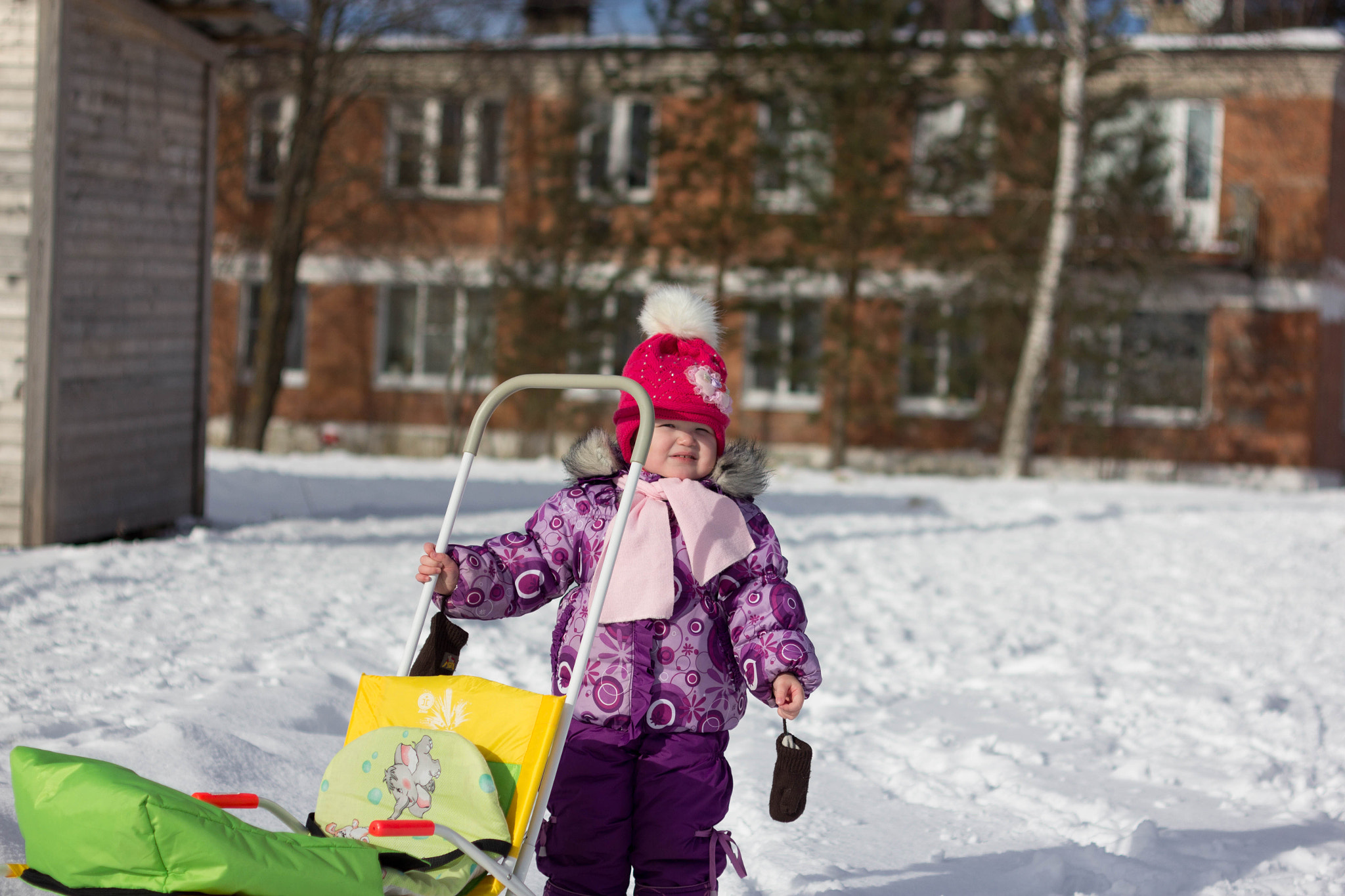 ZEISS Makro-Planar T* 50mm F2 sample photo. Mg photography