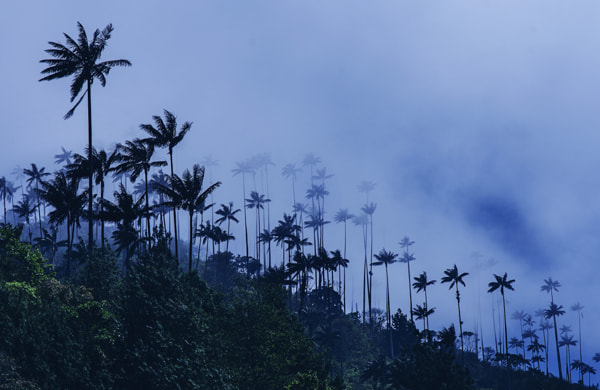 Nikon D7000 + Sigma 17-70mm F2.8-4 DC Macro OS HSM | C sample photo. Cocora photography