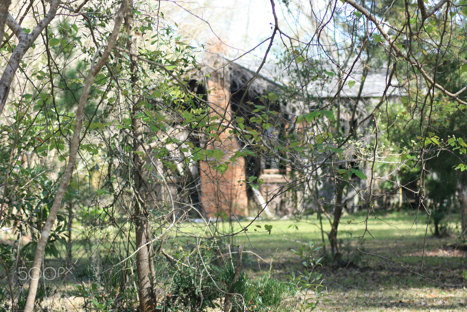 Canon EOS 400D (EOS Digital Rebel XTi / EOS Kiss Digital X) sample photo. Broken house photography