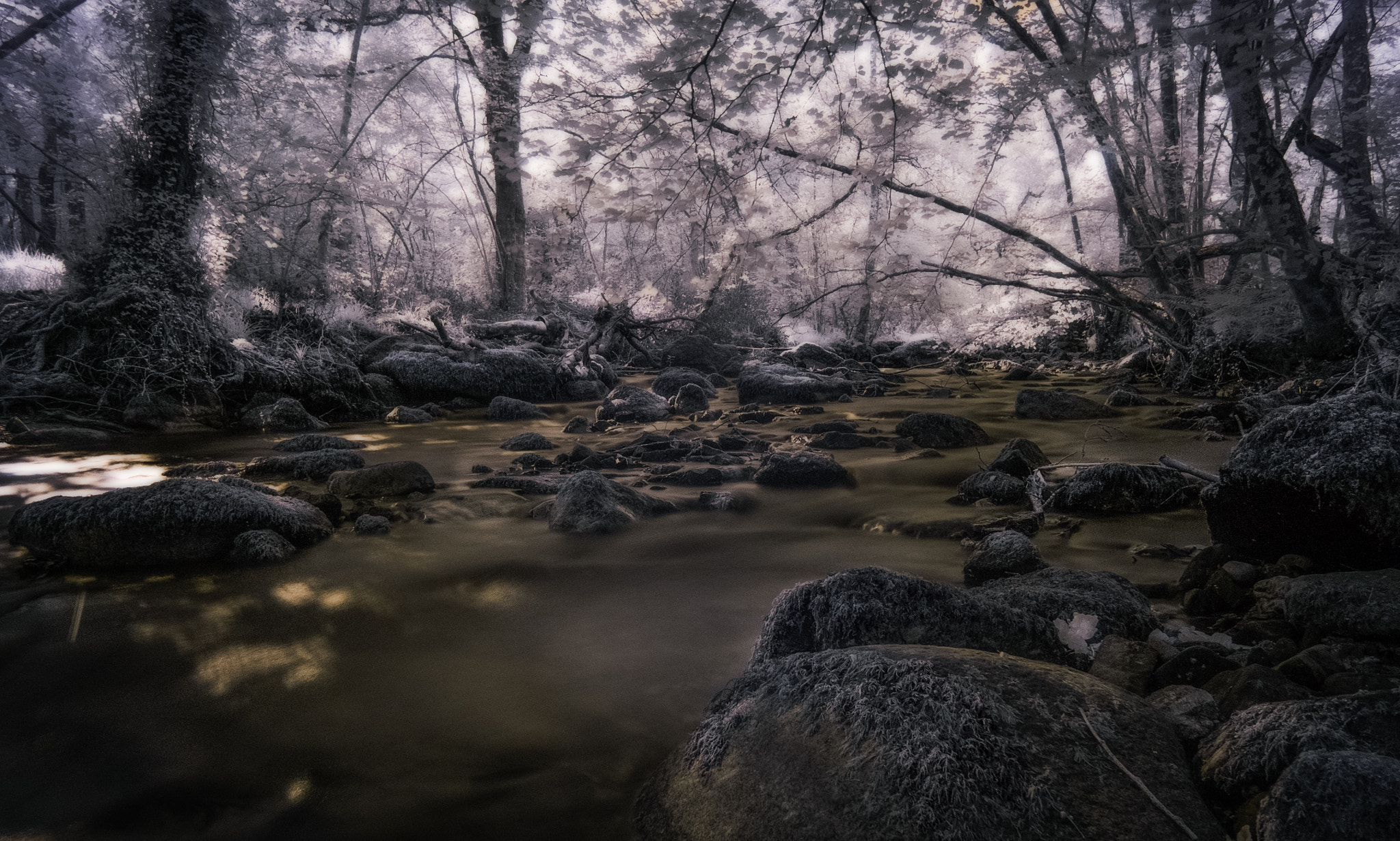 Fujifilm X-M1 + Fujifilm XF 14mm F2.8 R sample photo. River bovey photography