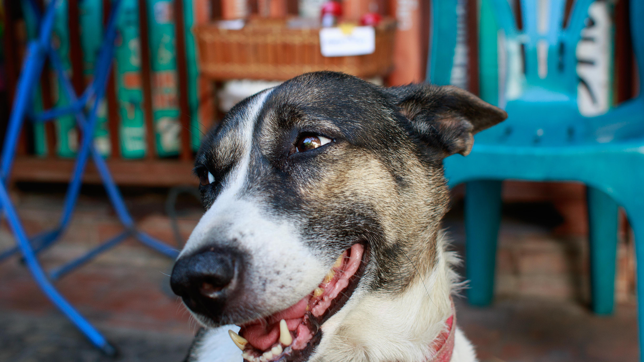 Canon EF 28mm F1.8 USM sample photo. Museum5 photography