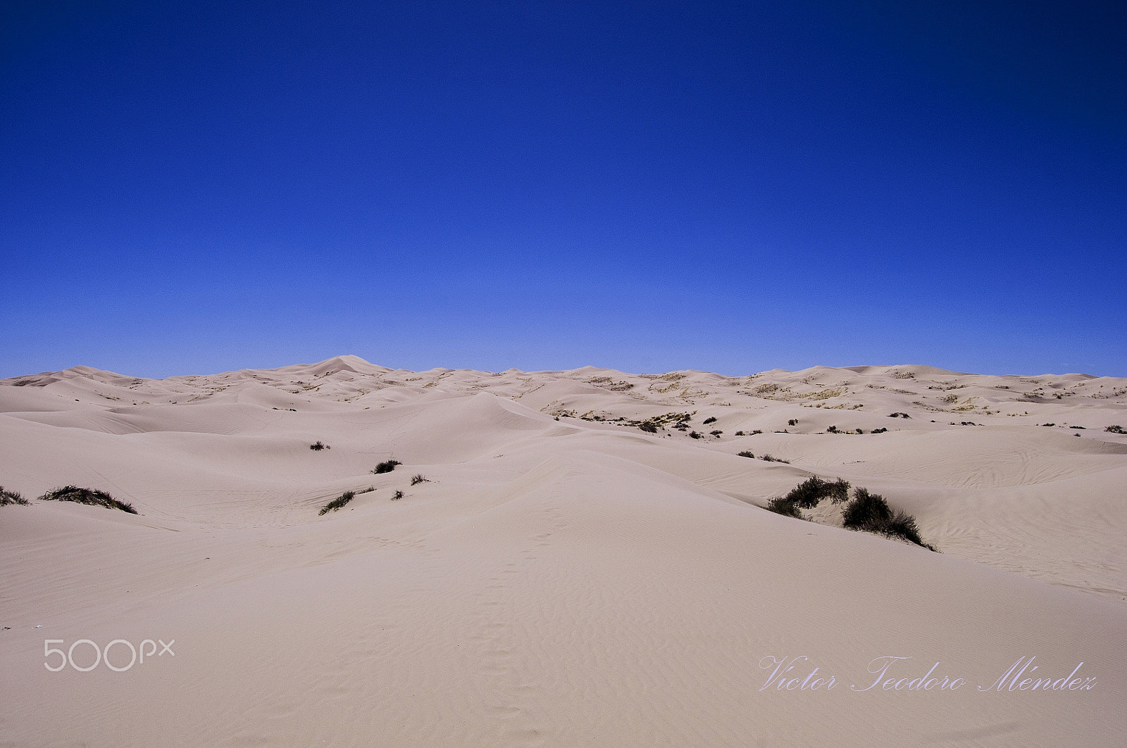 Nikon D300 sample photo. Dunas de samalayuca photography
