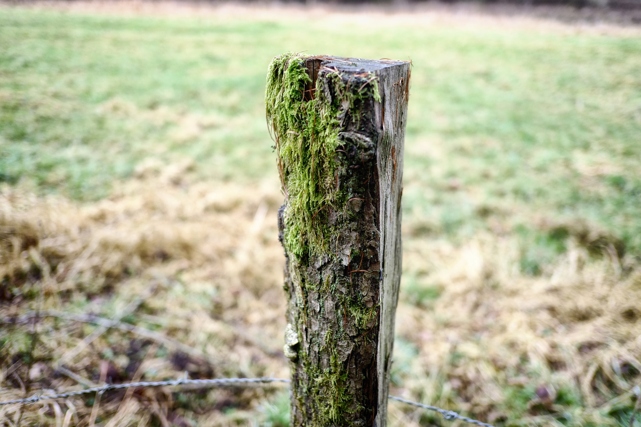 Fujifilm X-Pro1 + Fujifilm XF 18mm F2 R sample photo. Poteau photography