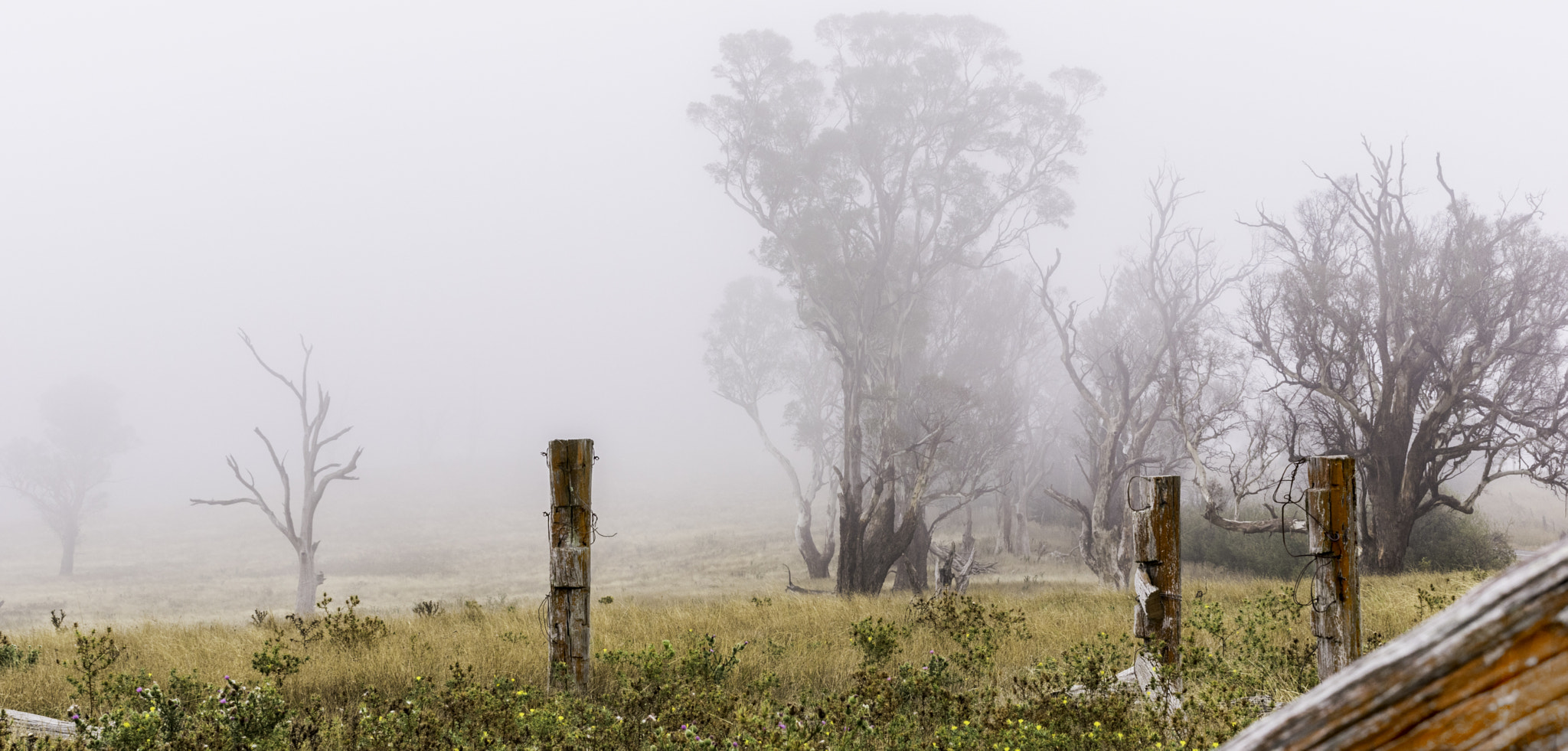 Pentax K-3 II sample photo. Posts in the clouds photography