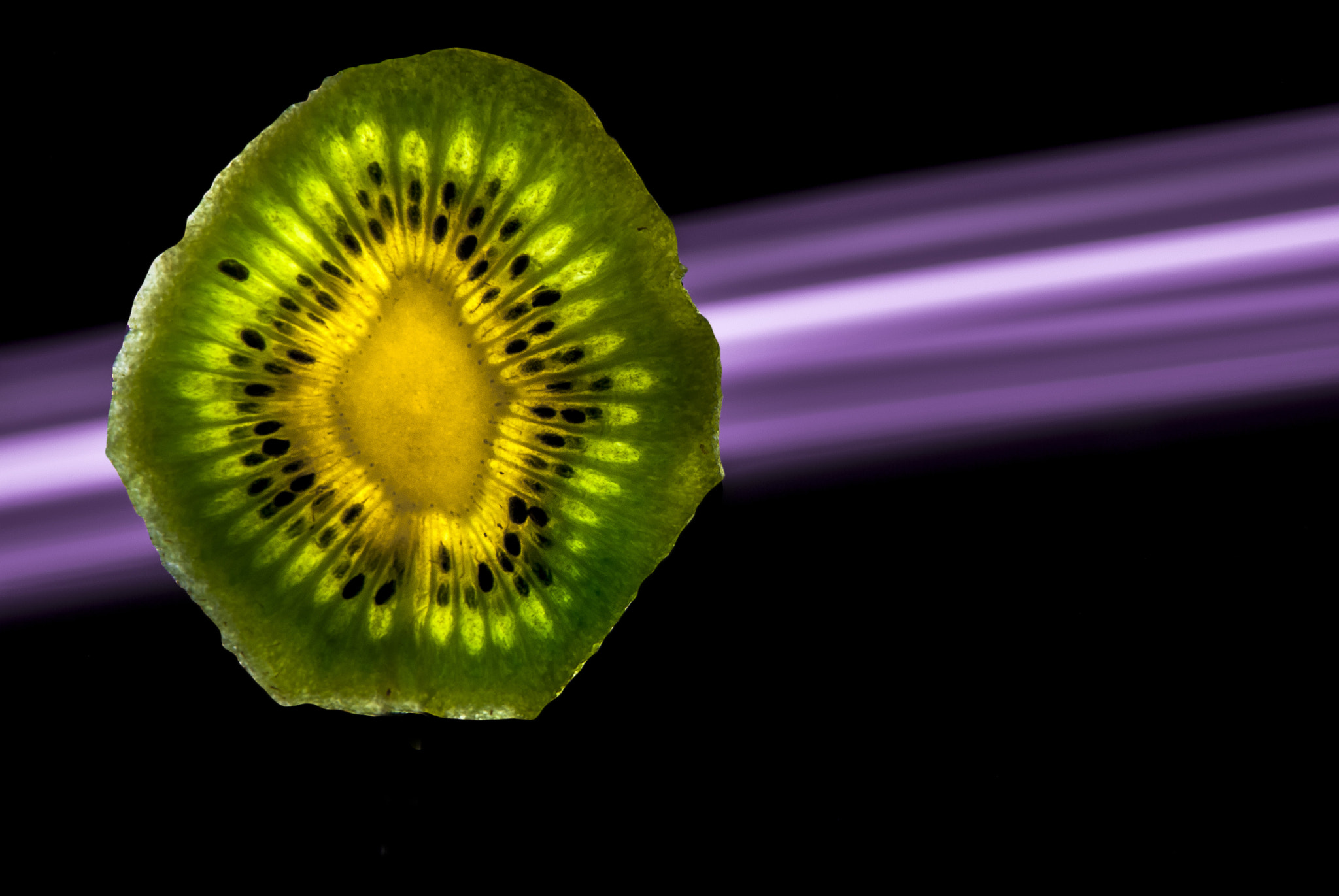 Nikon D80 sample photo. Kiwifruit photography
