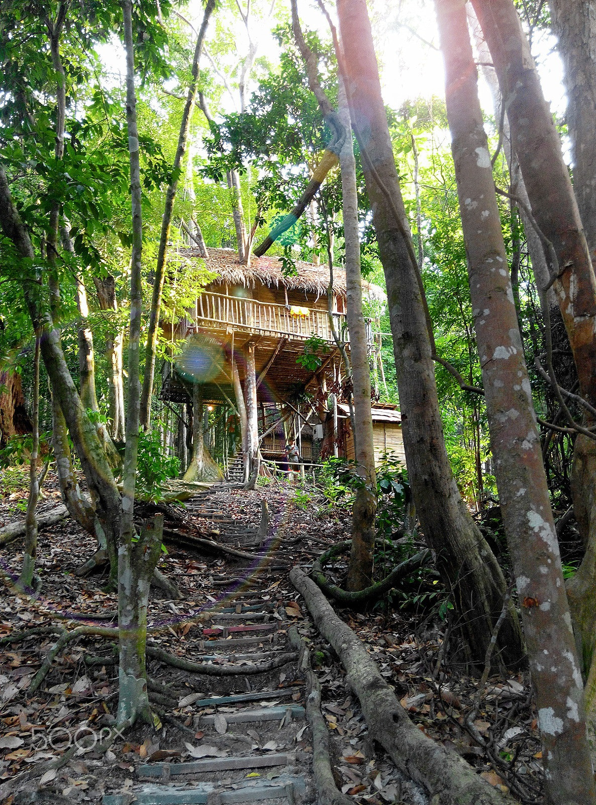 Xiaomi HM NOTE sample photo. Jungle wood house photography