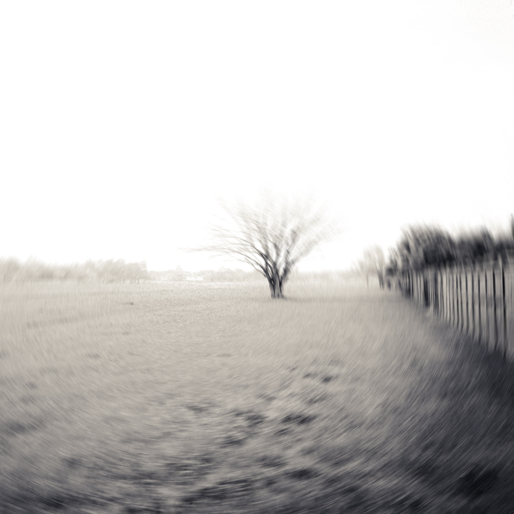 Canon EOS 6D + Canon EF 35mm F1.4L USM sample photo. Lost in the dream photography