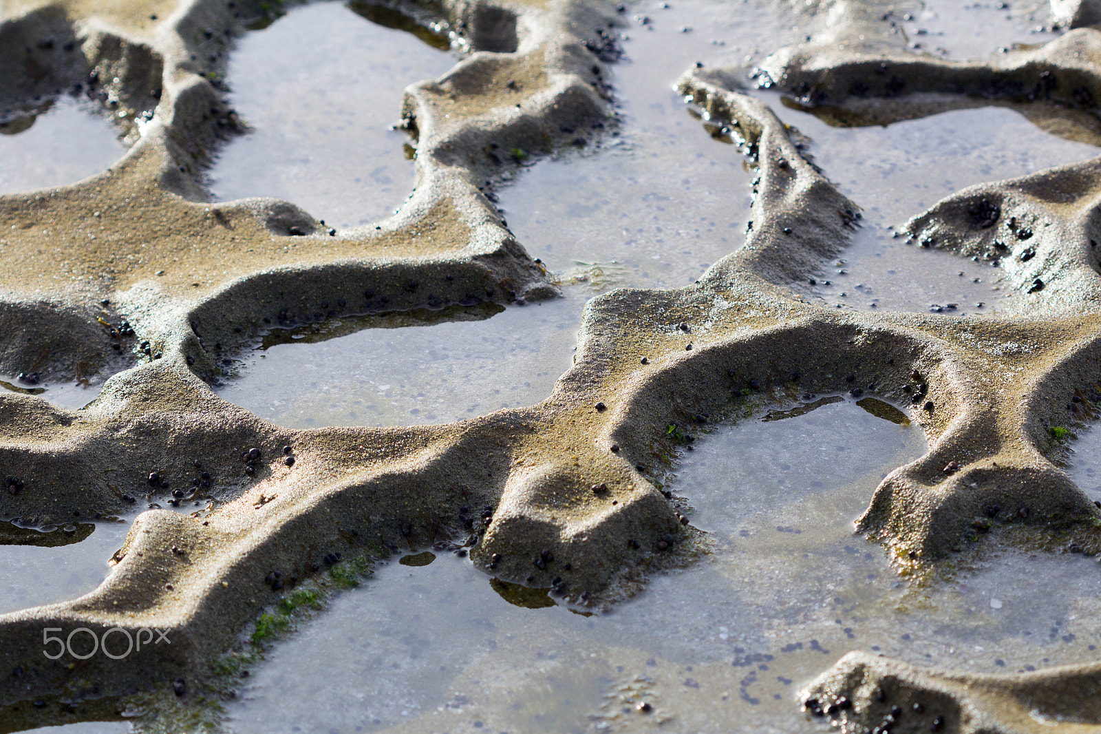 Canon EOS 600D (Rebel EOS T3i / EOS Kiss X5) sample photo. Puddles in the sand photography