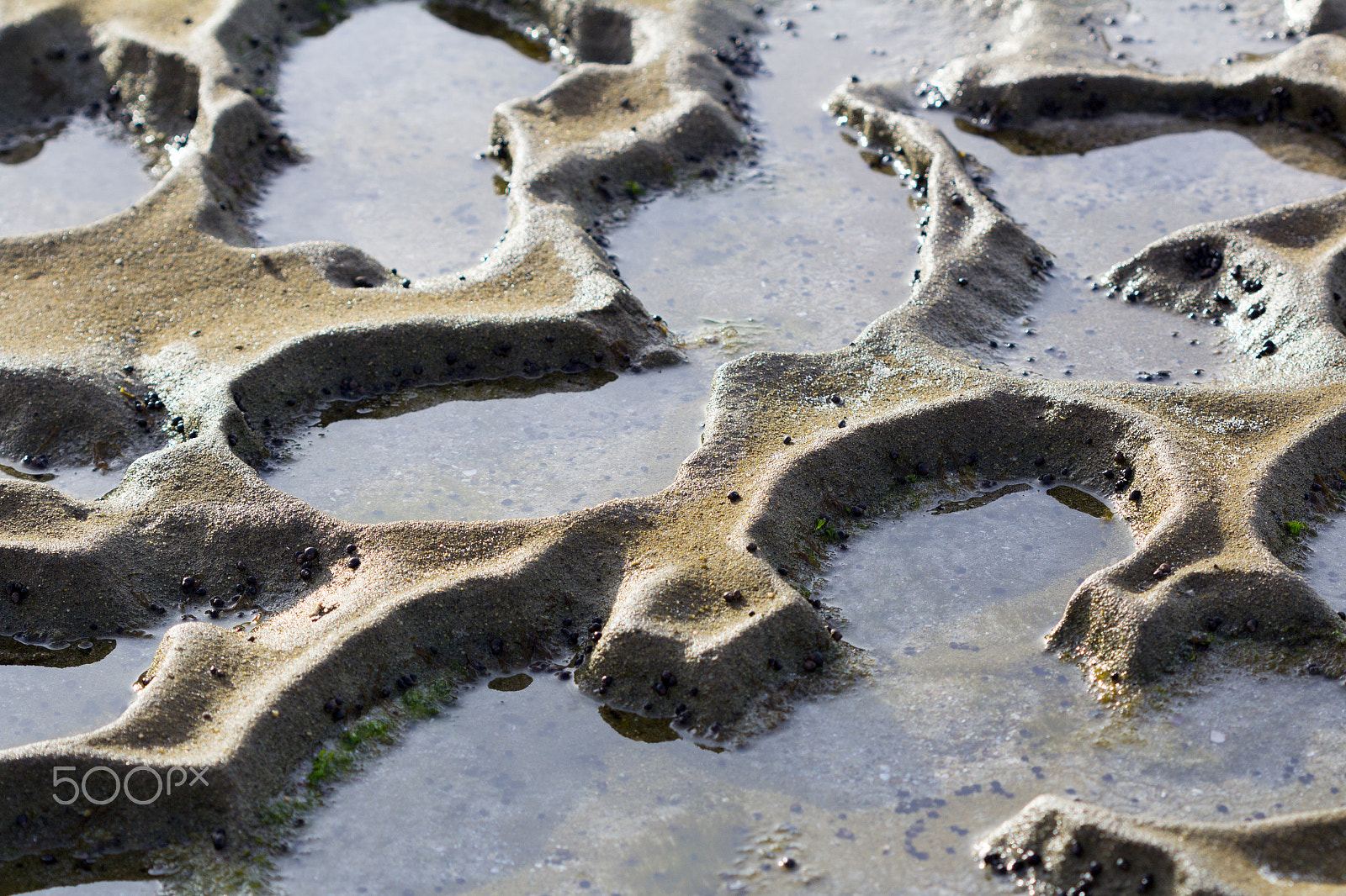 Canon EOS 600D (Rebel EOS T3i / EOS Kiss X5) + Canon EF 100mm F2.8 Macro USM sample photo. Puddles in the sand photography