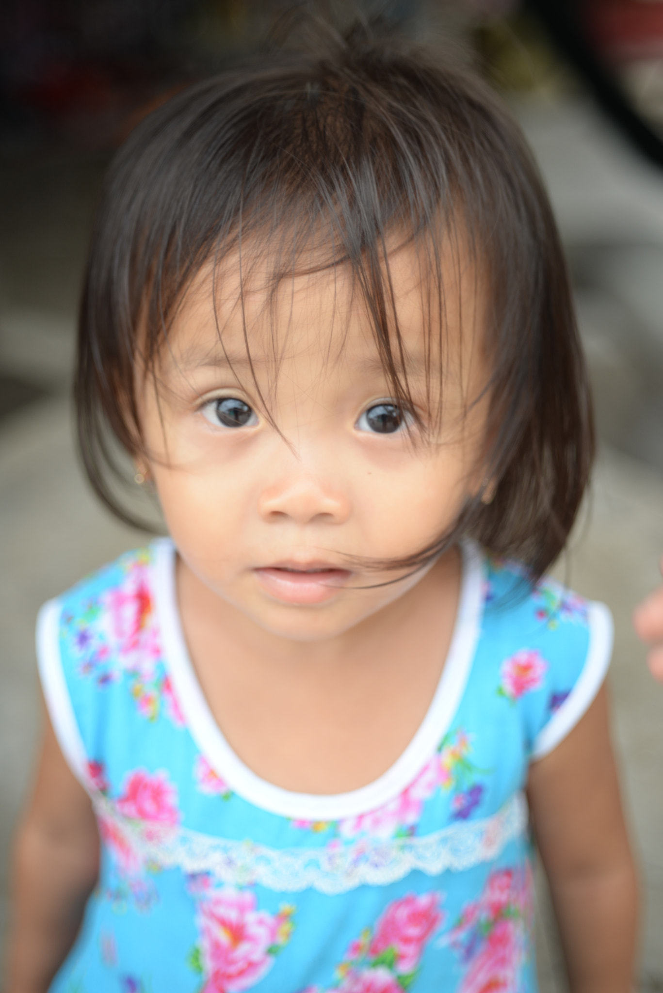 Manual Lens No CPU sample photo. Gin photography