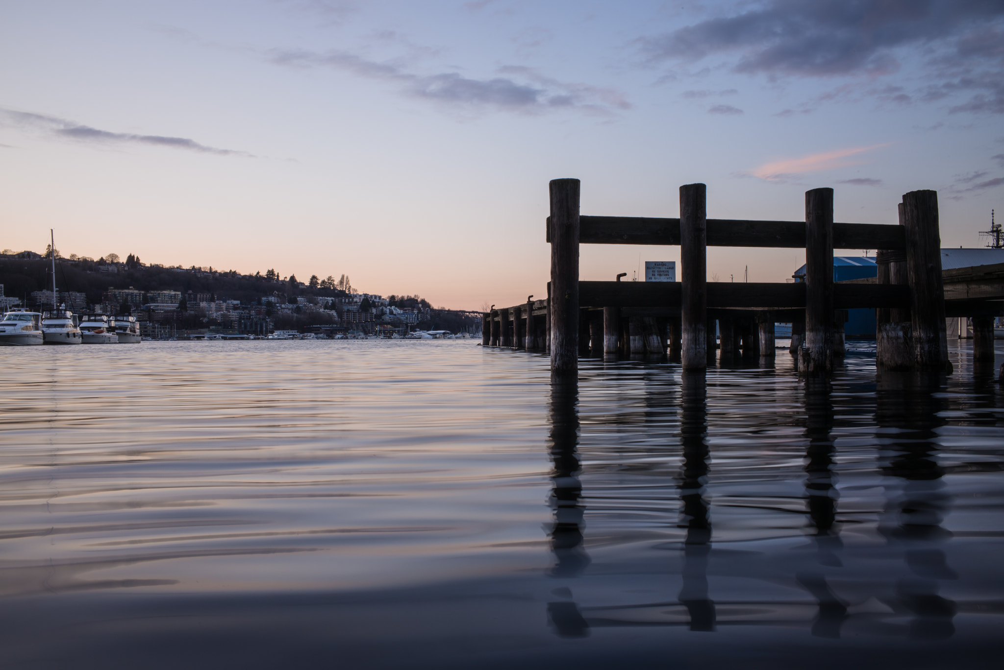 Summicron-M 1:2/35 ASPH. sample photo. South lake union photography
