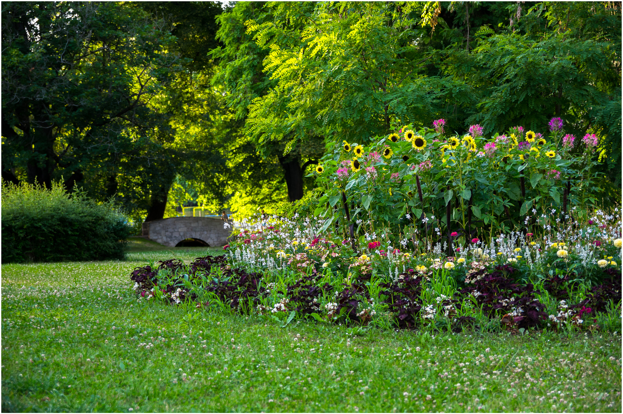 Pentax K-3 sample photo. Grüne insel in der stadt photography