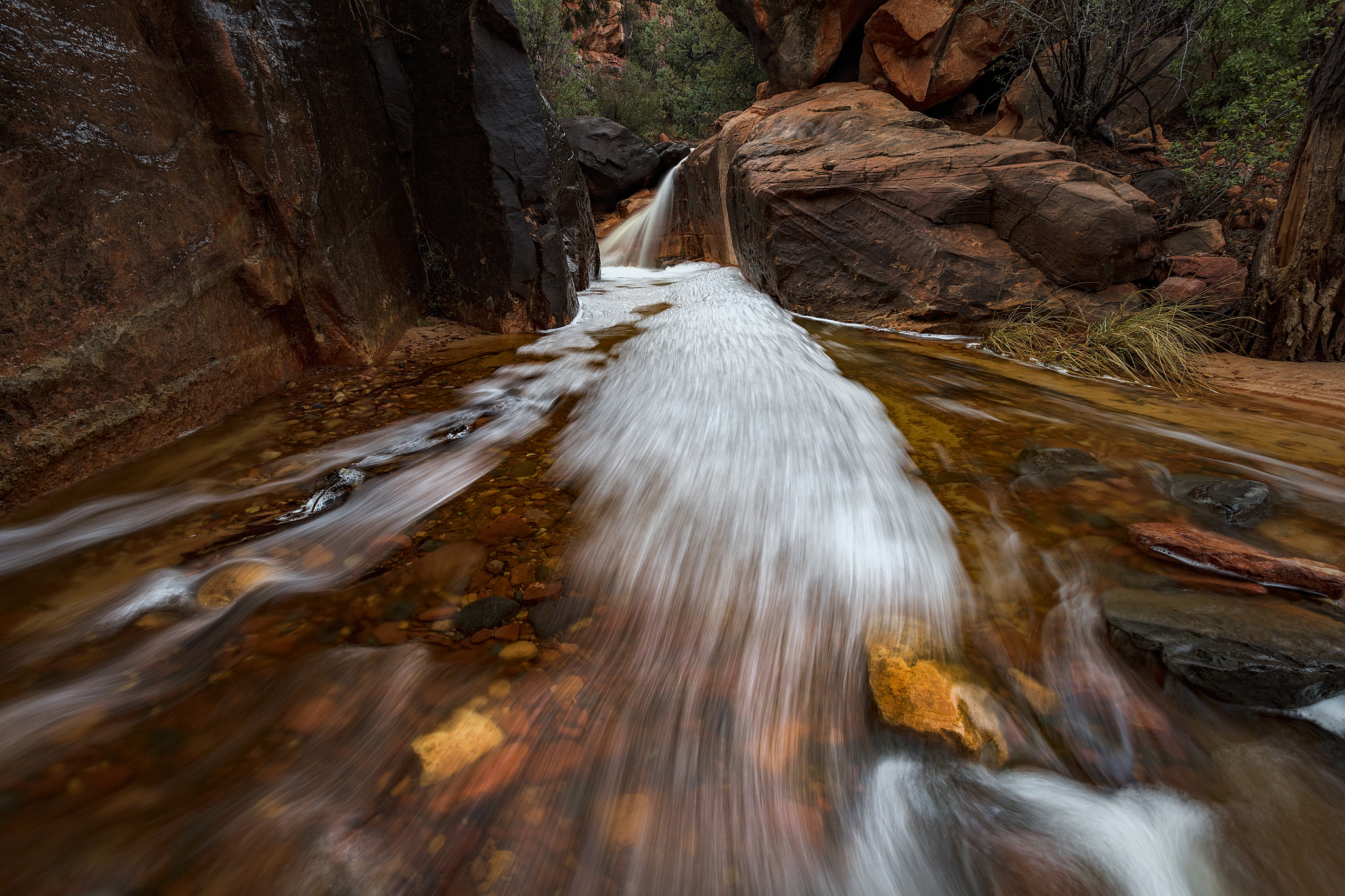 Canon EF 16-35mm F2.8L II USM sample photo. Bubbly photography