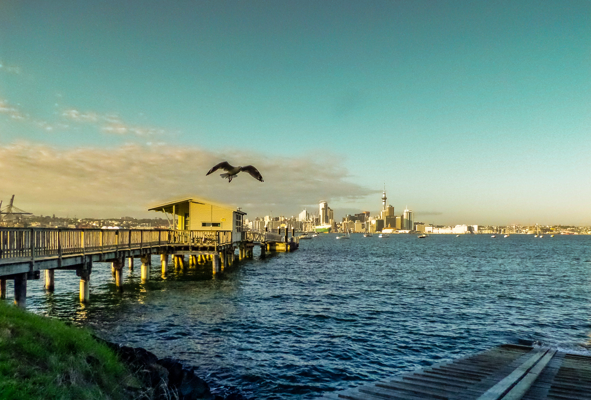 Samsung WB250F/WB251F/WB252F sample photo. Ferry photography