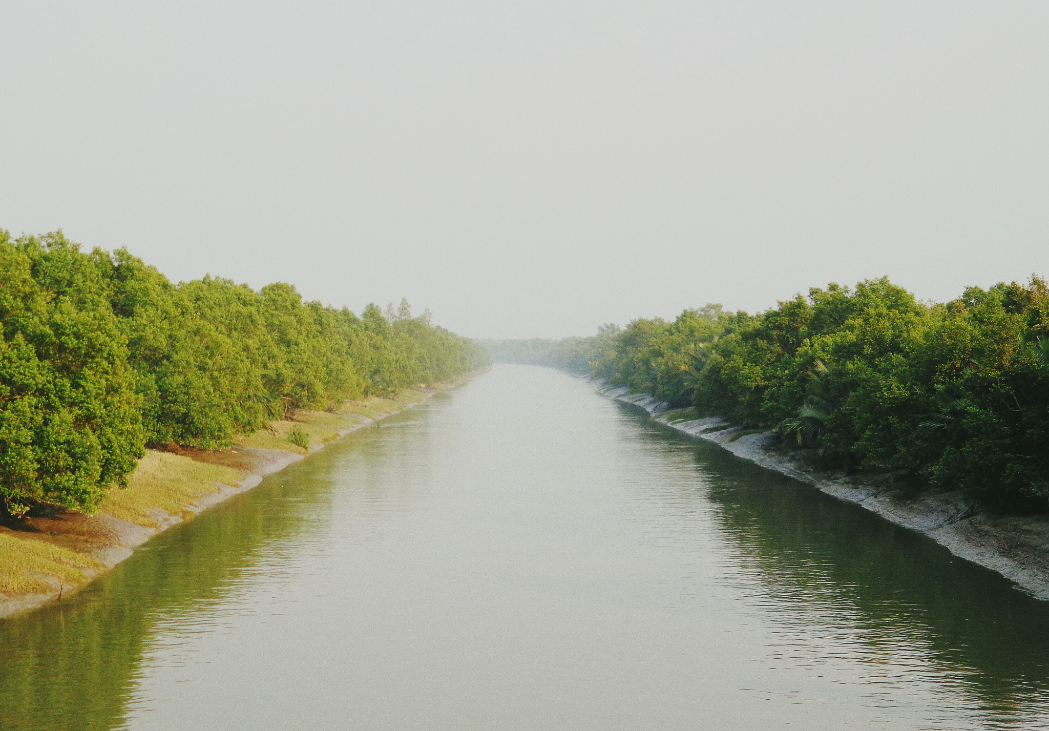 Sony Cyber-shot DSC-W690 sample photo. Sundarban photography