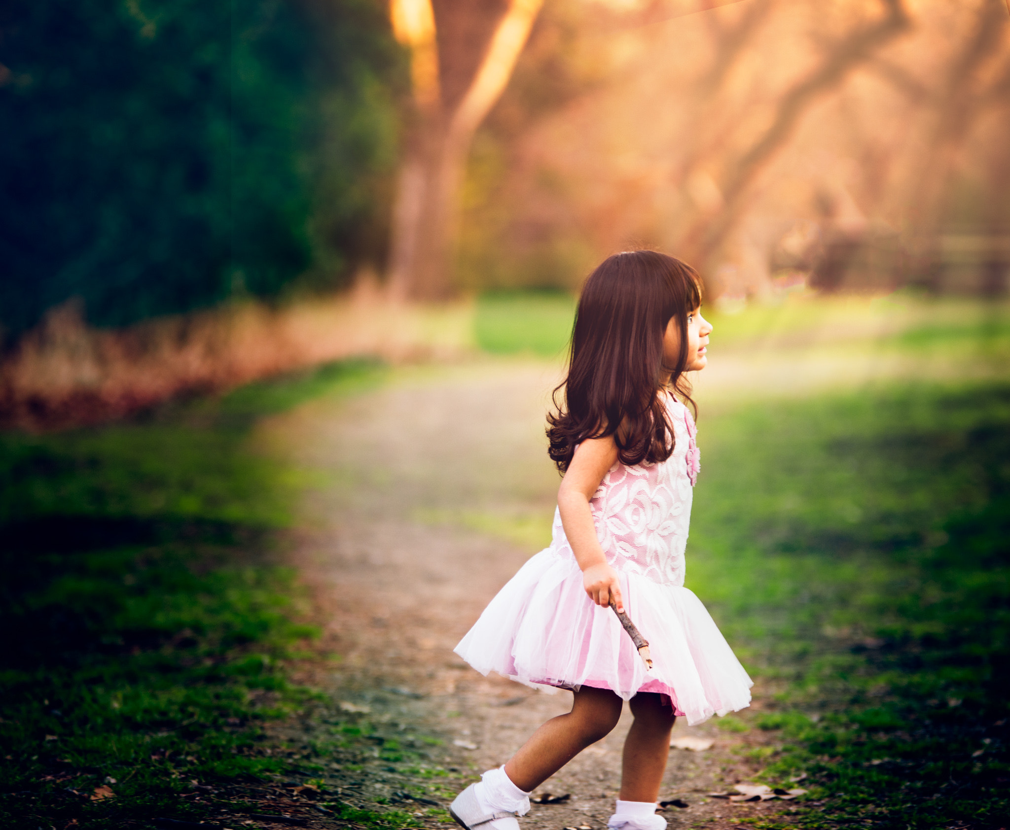 Sigma 70-200mm F2.8 EX DG OS HSM sample photo. Path less traveled photography