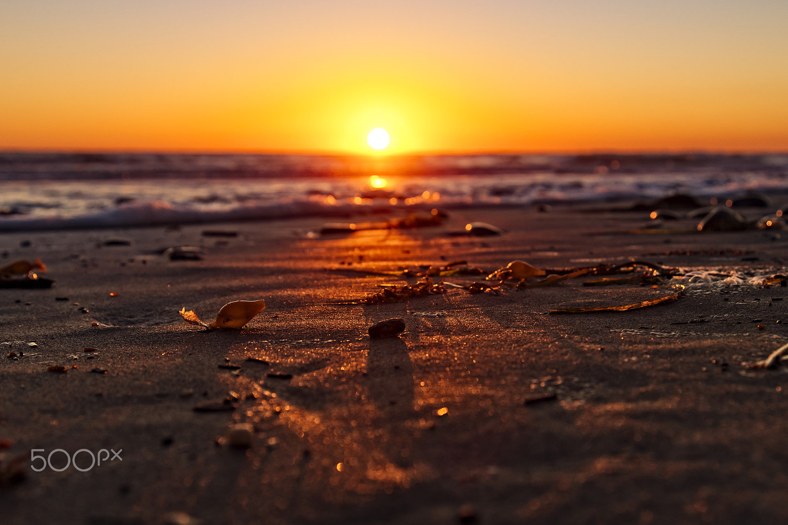 Nikon D500 sample photo. Sunset on the beach in oceanside - february 24, 2017 photography