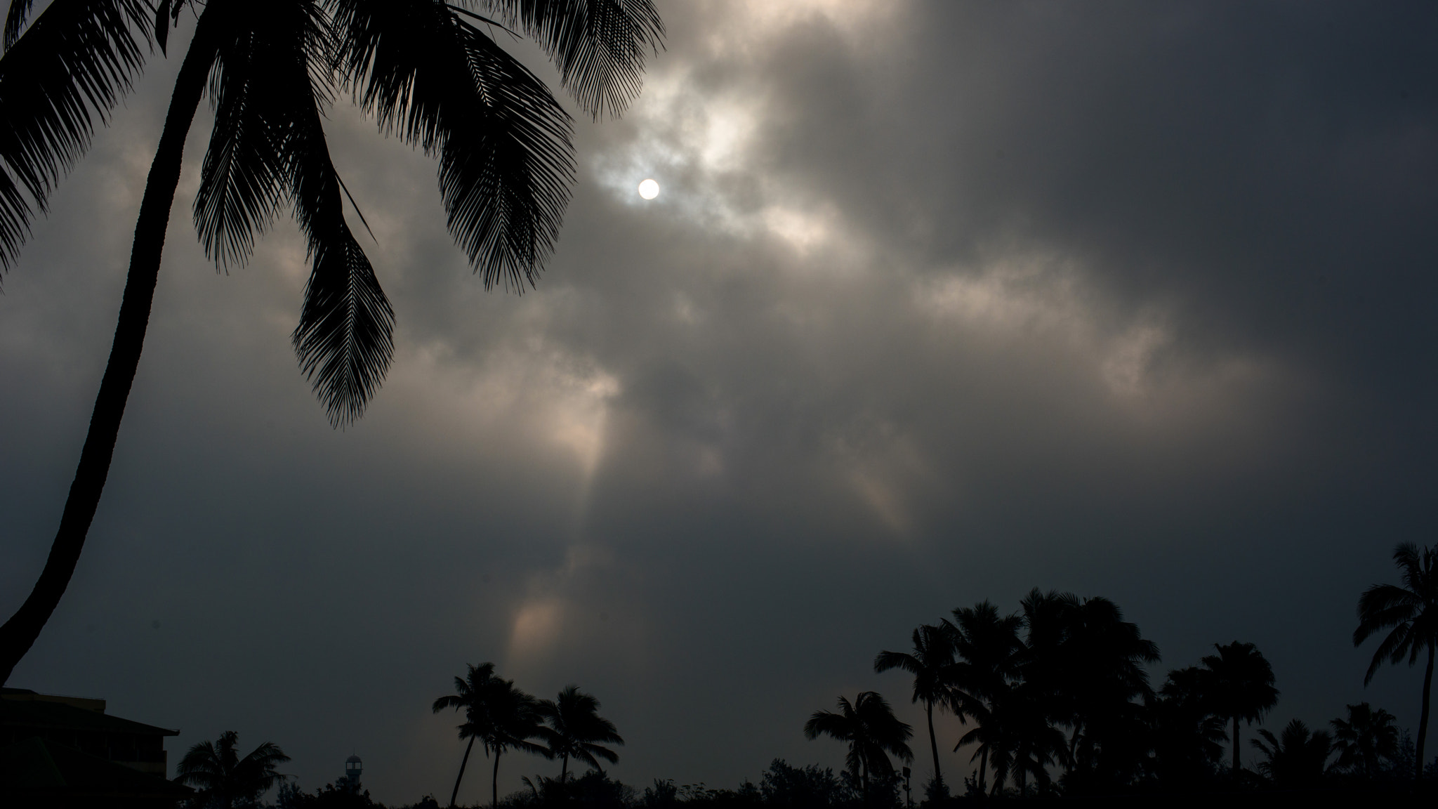 Nikon D800E + Nikon AF Nikkor 50mm F1.4D sample photo. The cross of god photography