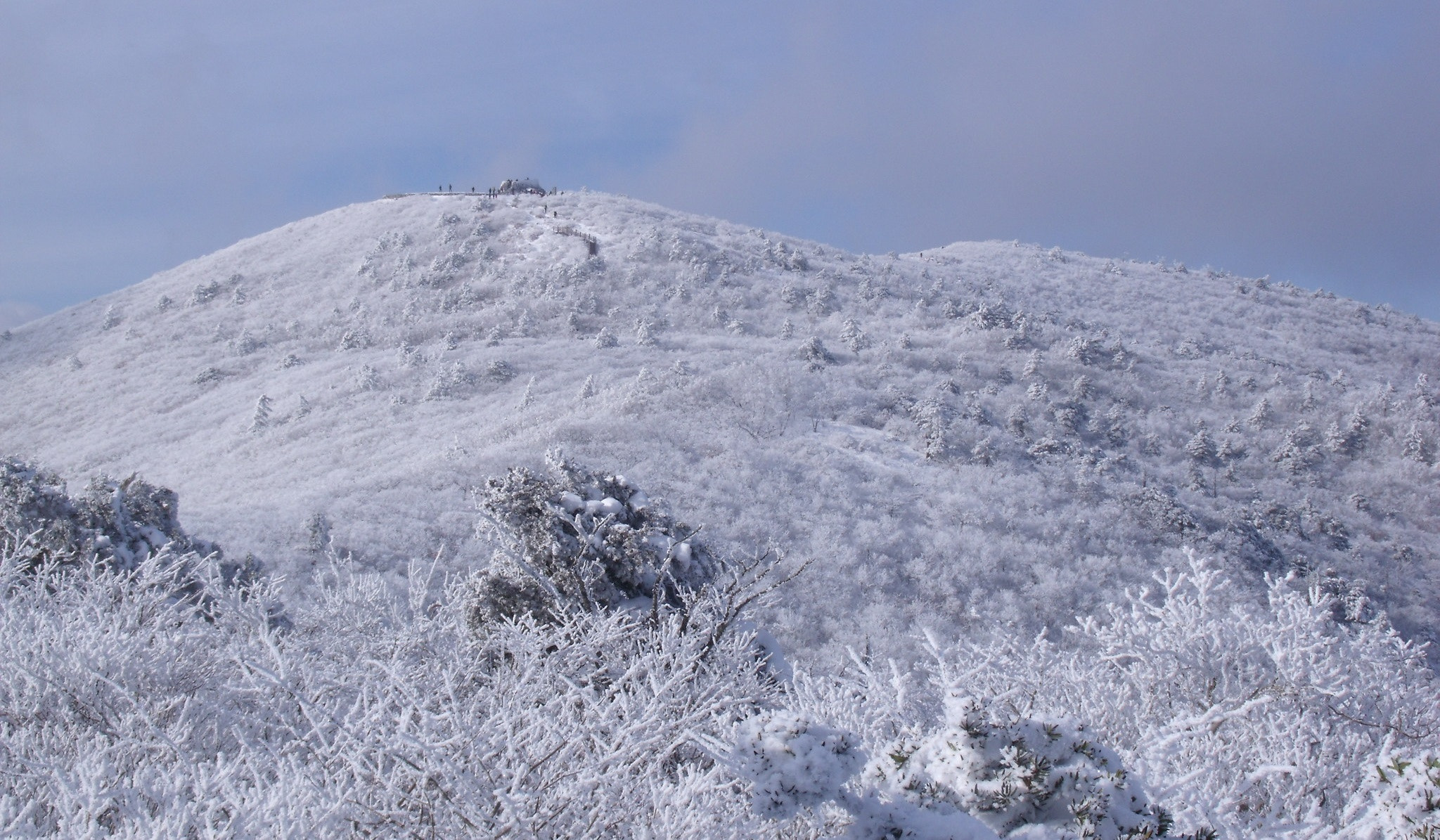 Fujifilm FinePix J110W sample photo. Frosted mountain photography