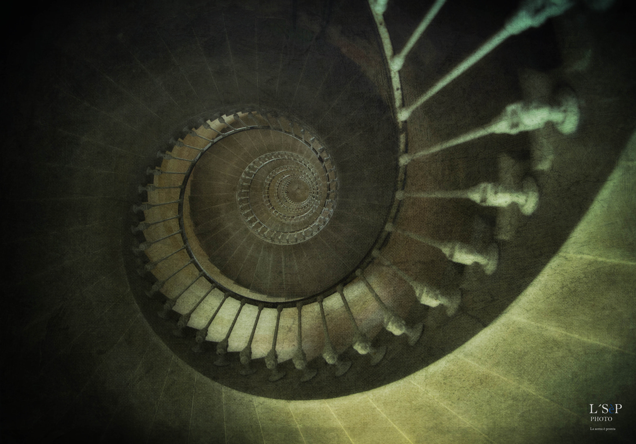 Nikon D3S sample photo. Nautilus photography