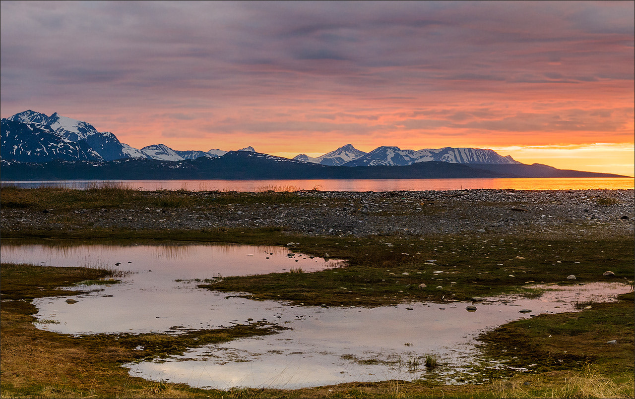 Nikon D300S sample photo. °°° midnightsun °°° photography