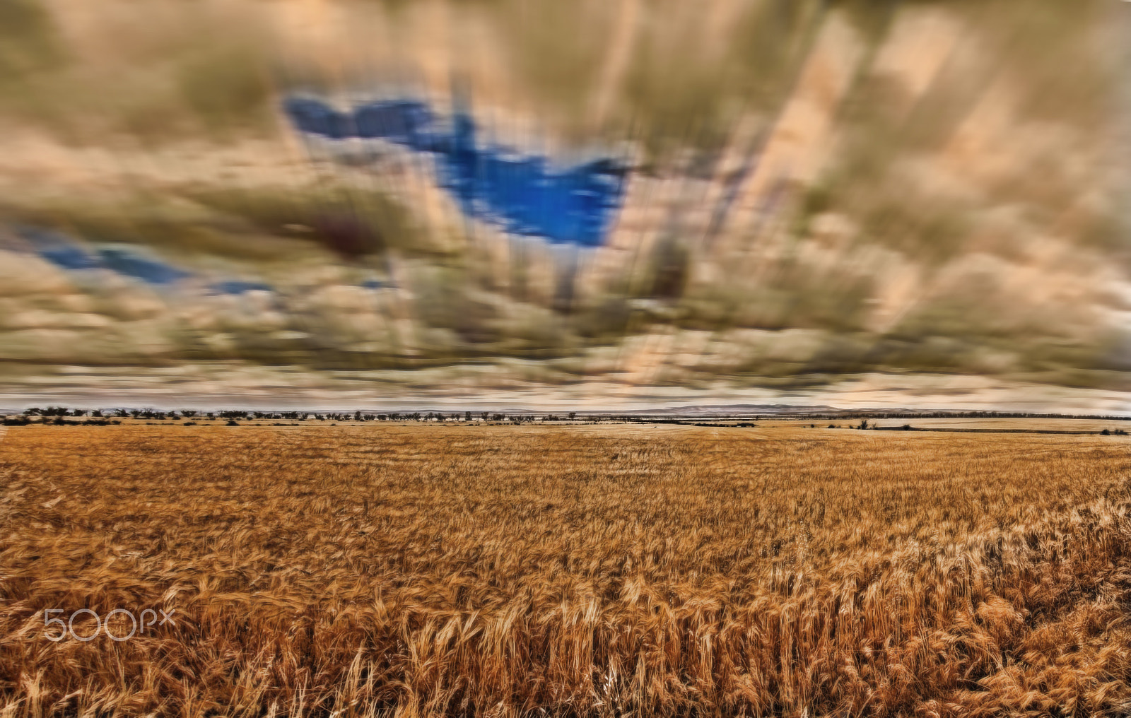 Sigma 24-105mm f/4 DG OS HSM | A sample photo. Barley field 4 photography