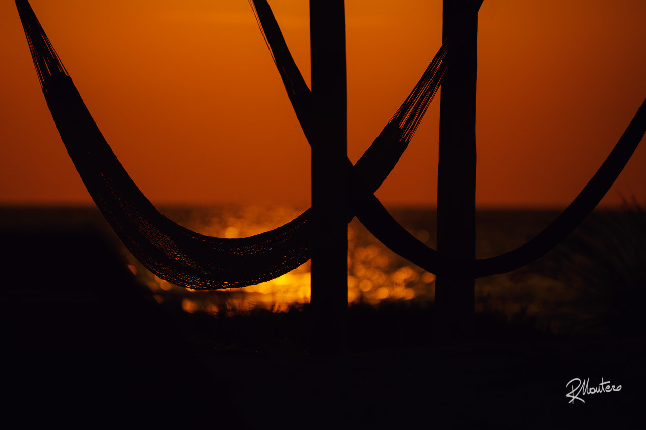 Nikon D800 sample photo. Keep calm, and hang an hammock photography