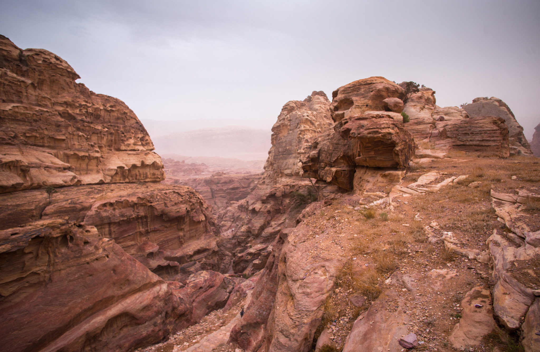 Nikon D800 sample photo. Petra photography