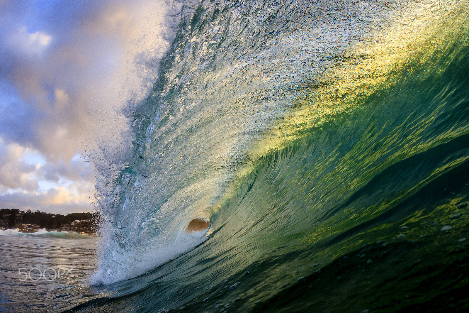 Canon EF 15mm F2.8 Fisheye sample photo. Green and gold photography