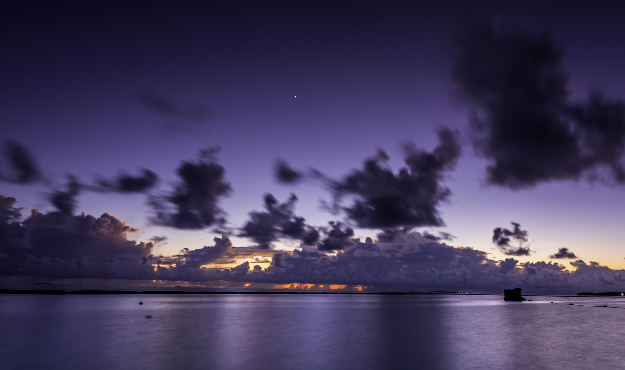 Nikon D750 + Samyang 12mm F2.8 ED AS NCS Fisheye sample photo. The purple one photography