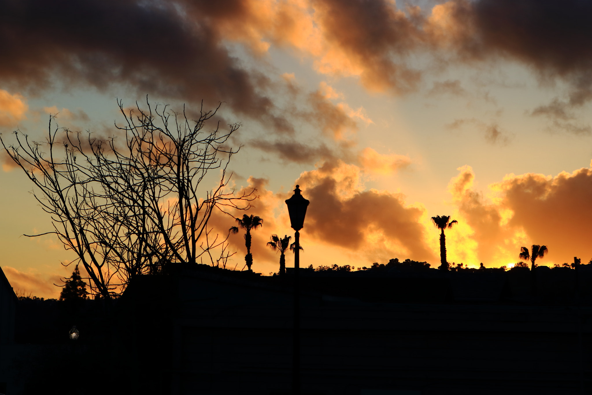 Canon EOS 750D (EOS Rebel T6i / EOS Kiss X8i) sample photo. Colores in they sky photography