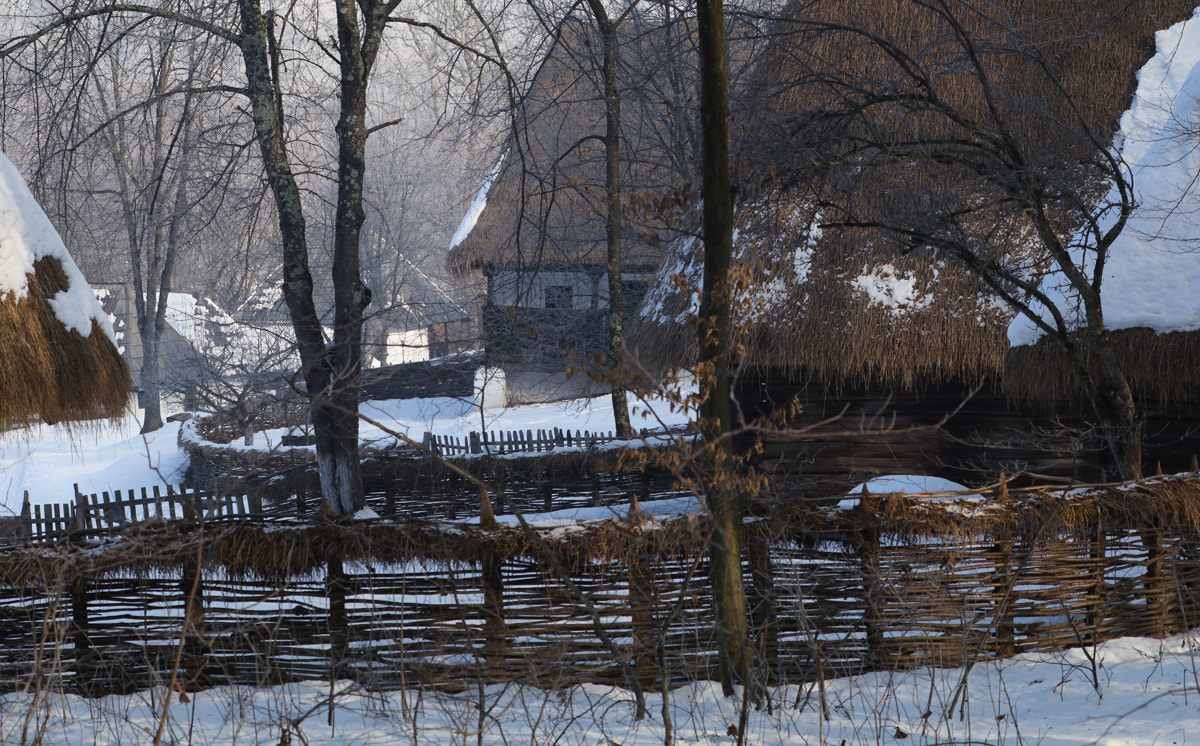 Canon EF 70-300mm F4-5.6L IS USM sample photo. Old pen in winter photography