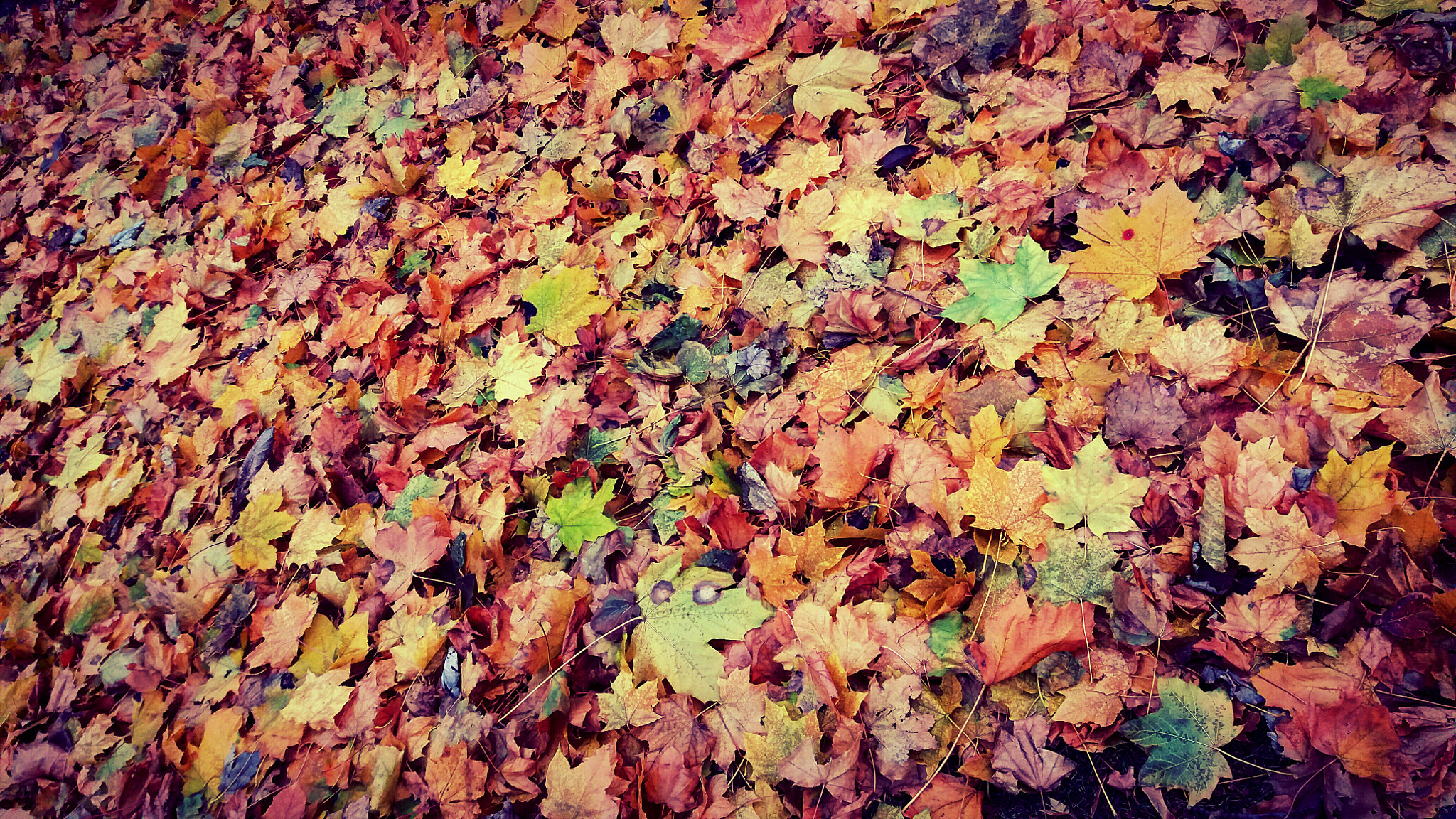 Samsung Galaxy J7(2015) sample photo