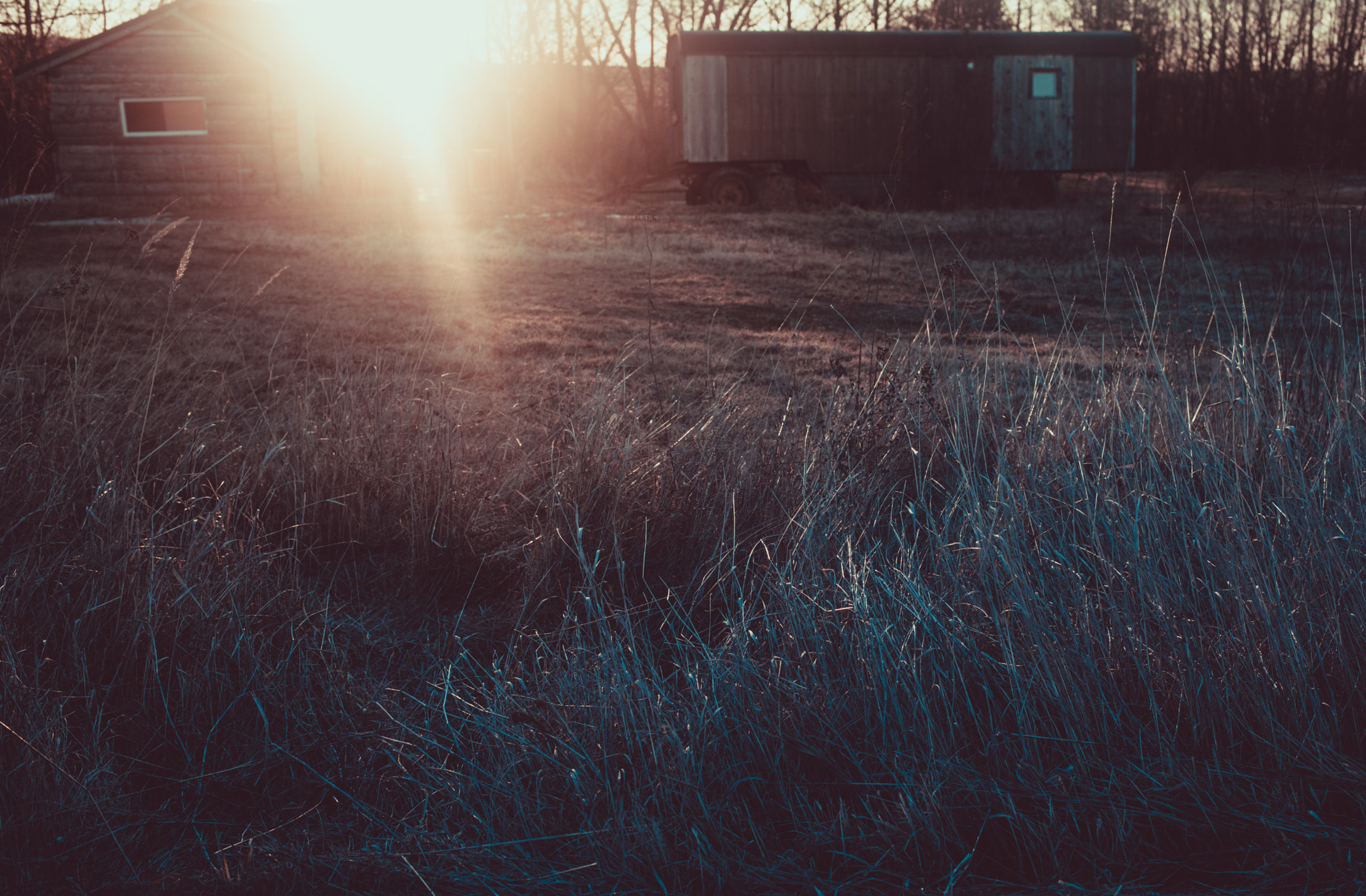 Canon EF 40mm F2.8 STM sample photo. Leave me alone 4 photography