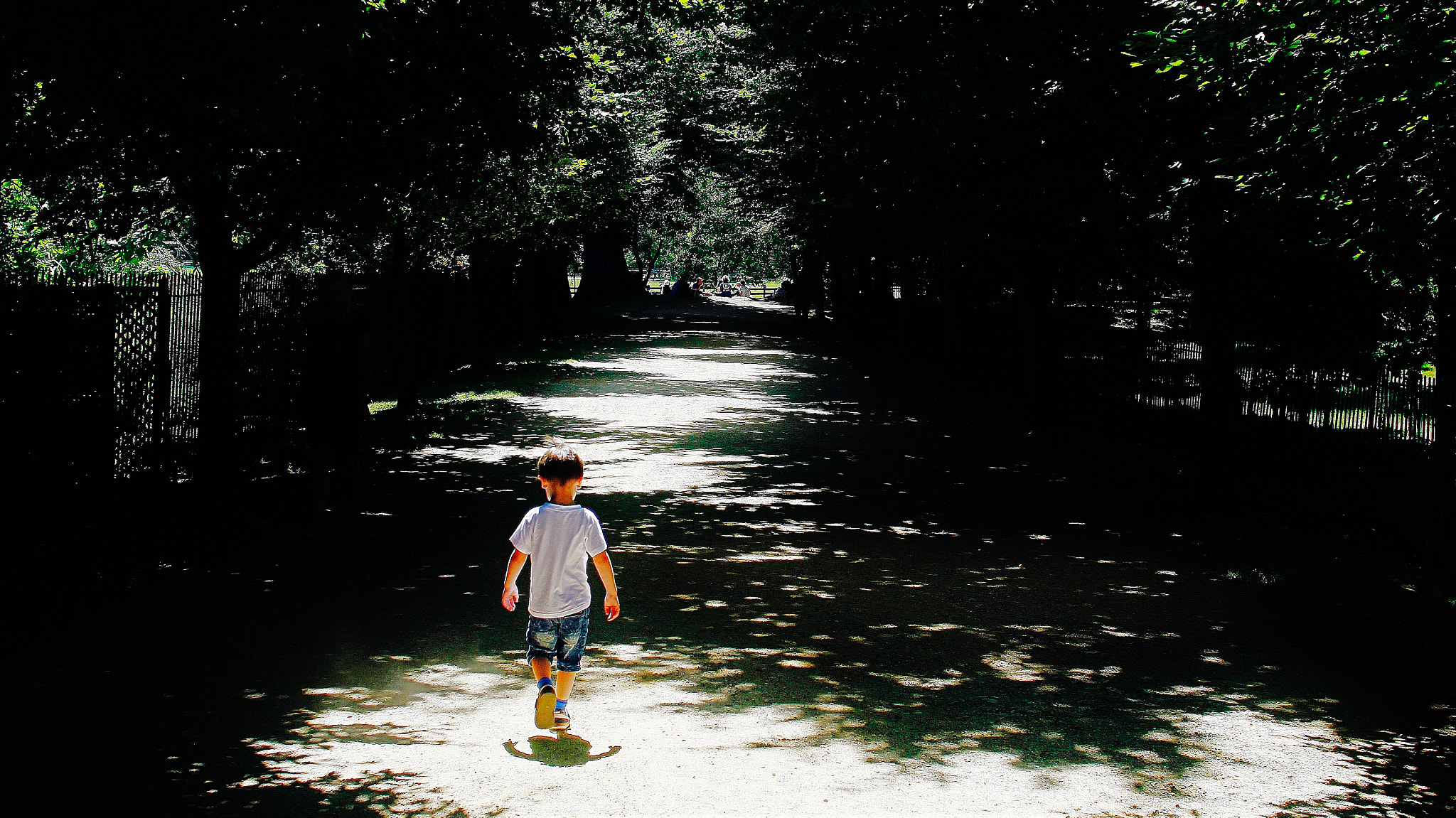 Sigma 30mm F1.4 EX DC HSM sample photo. A walk through light... photography