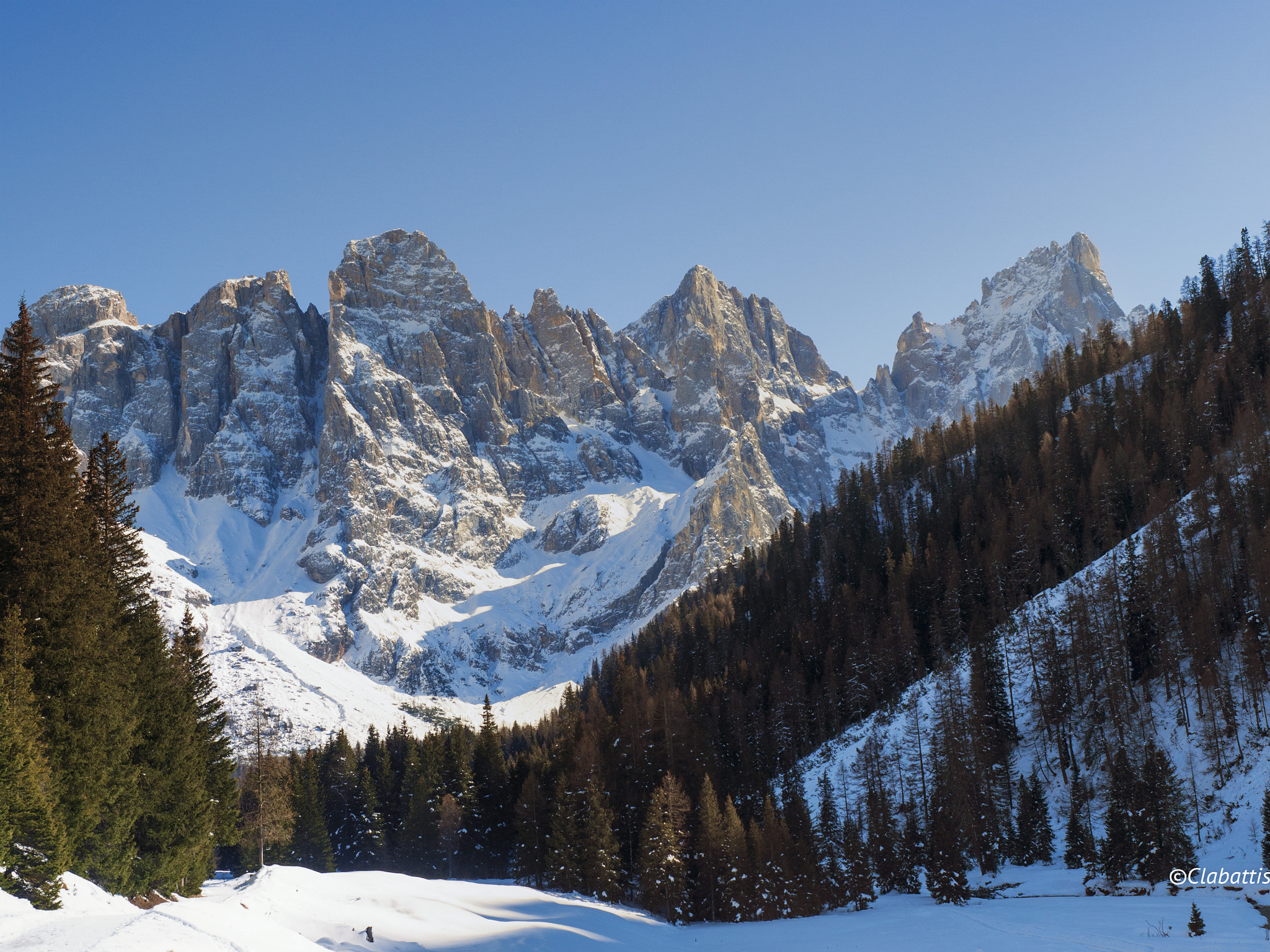 Olympus OM-D E-M10 sample photo. Pale di san martino photography