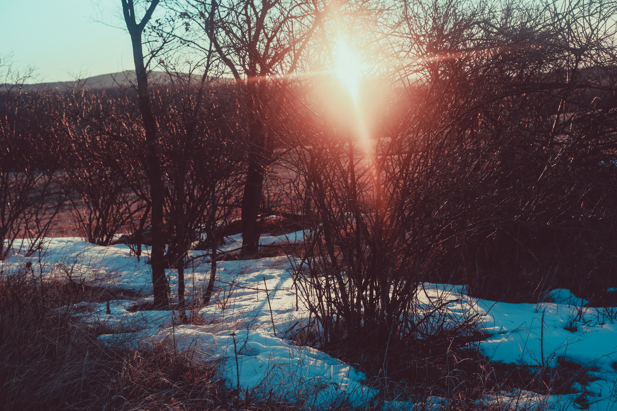 Canon EF 40mm F2.8 STM sample photo. Last snow 1 photography