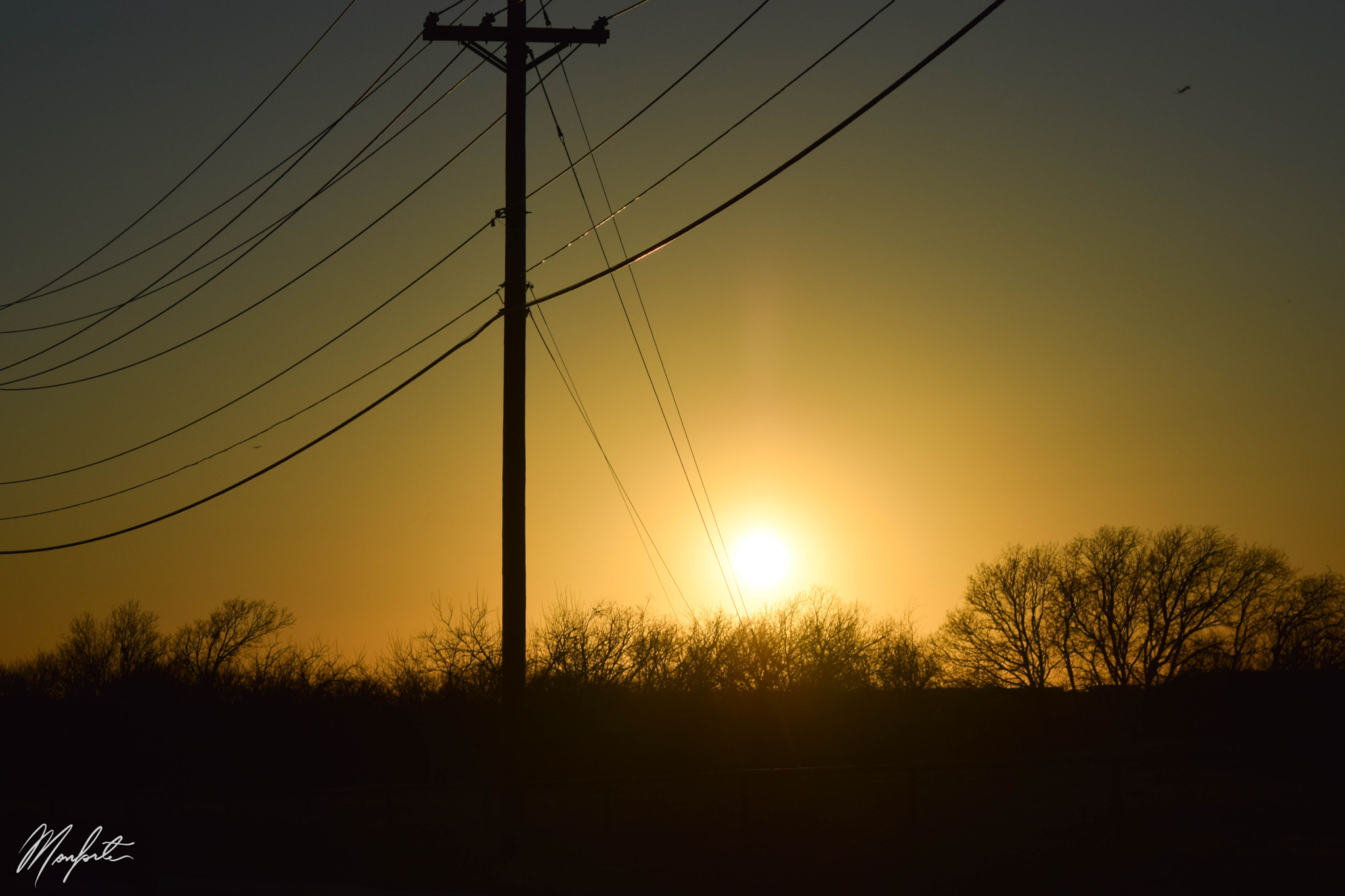 Nikon D3300 + Nikon AF-S Nikkor 85mm F1.8G sample photo. The mighty sun photography