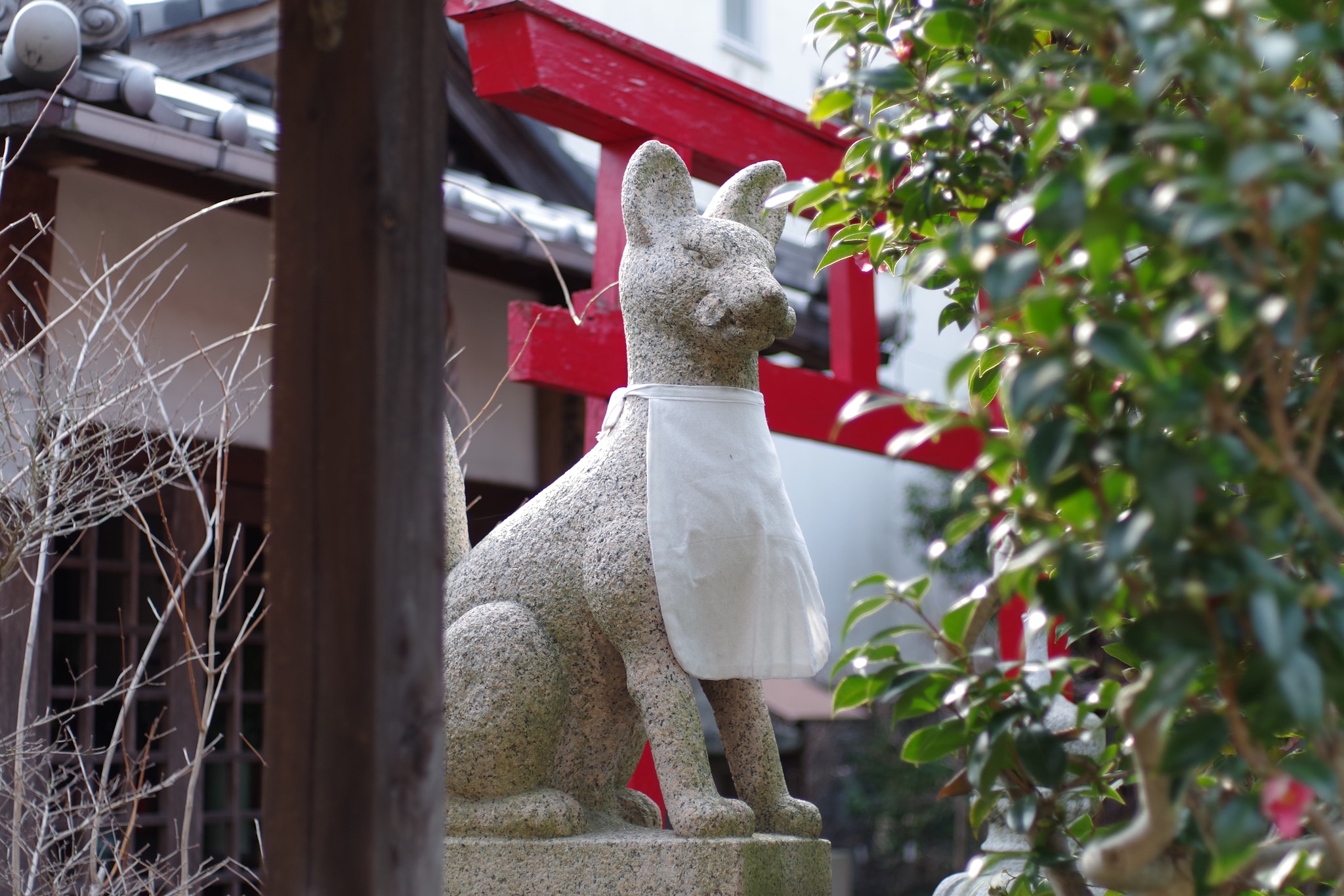 Pentax K-S1 sample photo. Inari photography