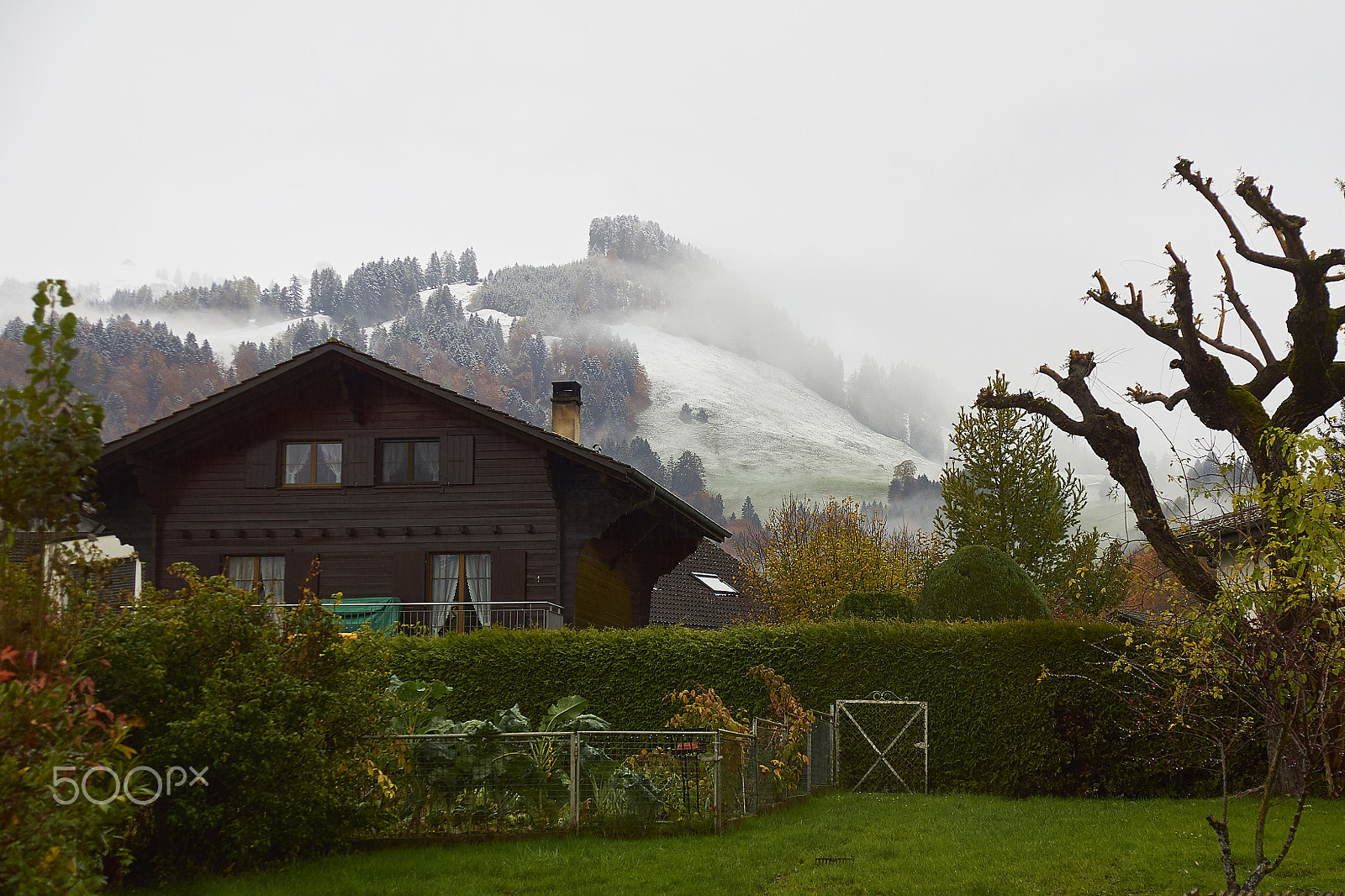 Sony SLT-A55 (SLT-A55V) sample photo. Le gruyere photography