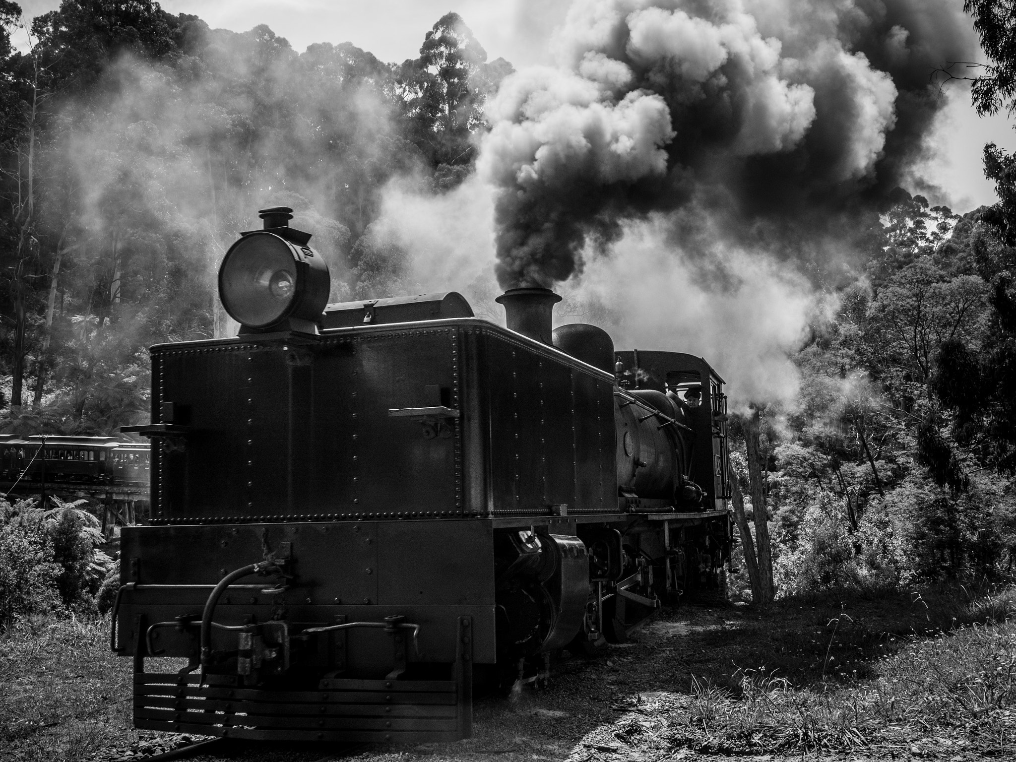 Olympus PEN E-P5 + Olympus M.Zuiko Digital ED 12-40mm F2.8 Pro sample photo. Puffing billy railway, victoria, australia photography