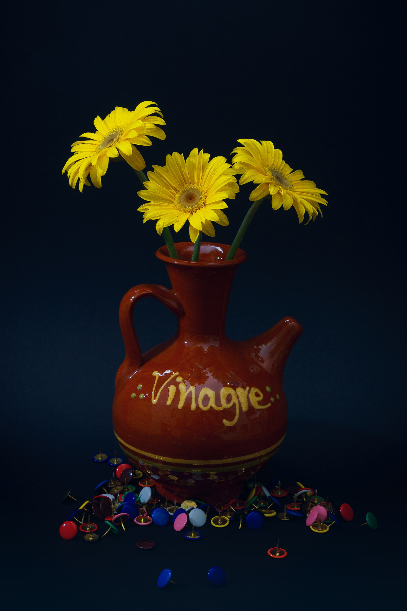 Sony DT 16-105mm F3.5-5.6 sample photo. Light & flowers photography
