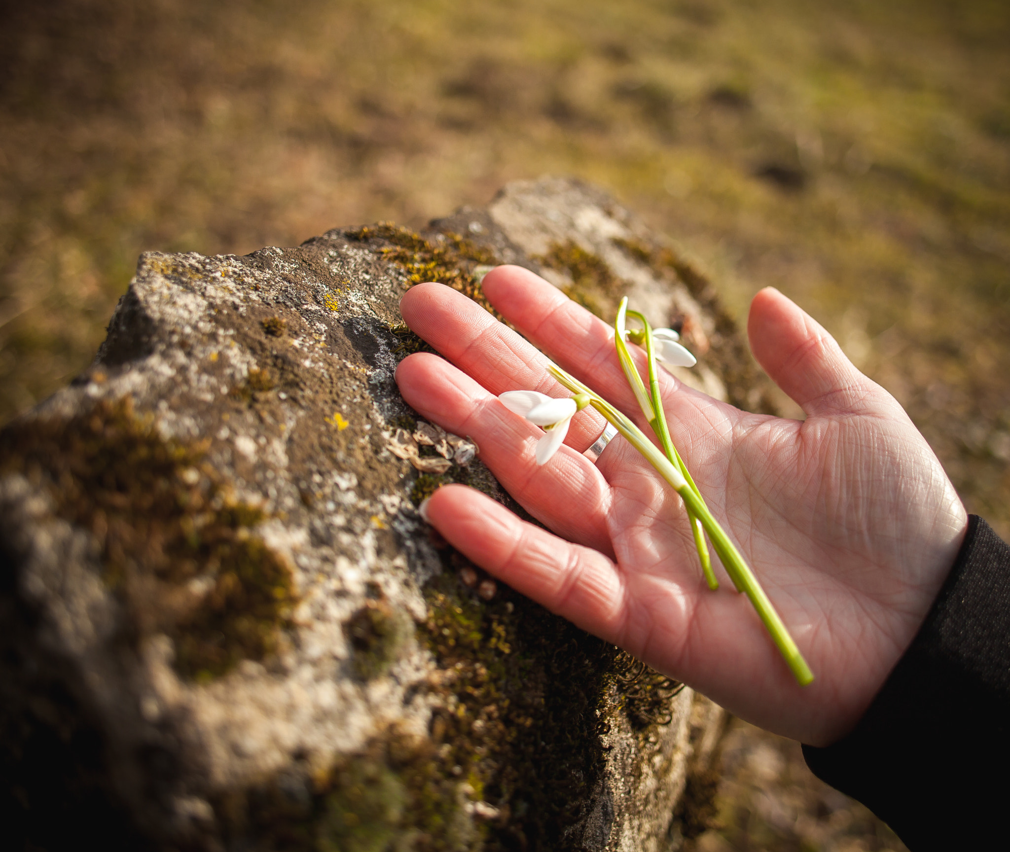 Canon EOS 5D Mark II sample photo. Spring in her hand photography